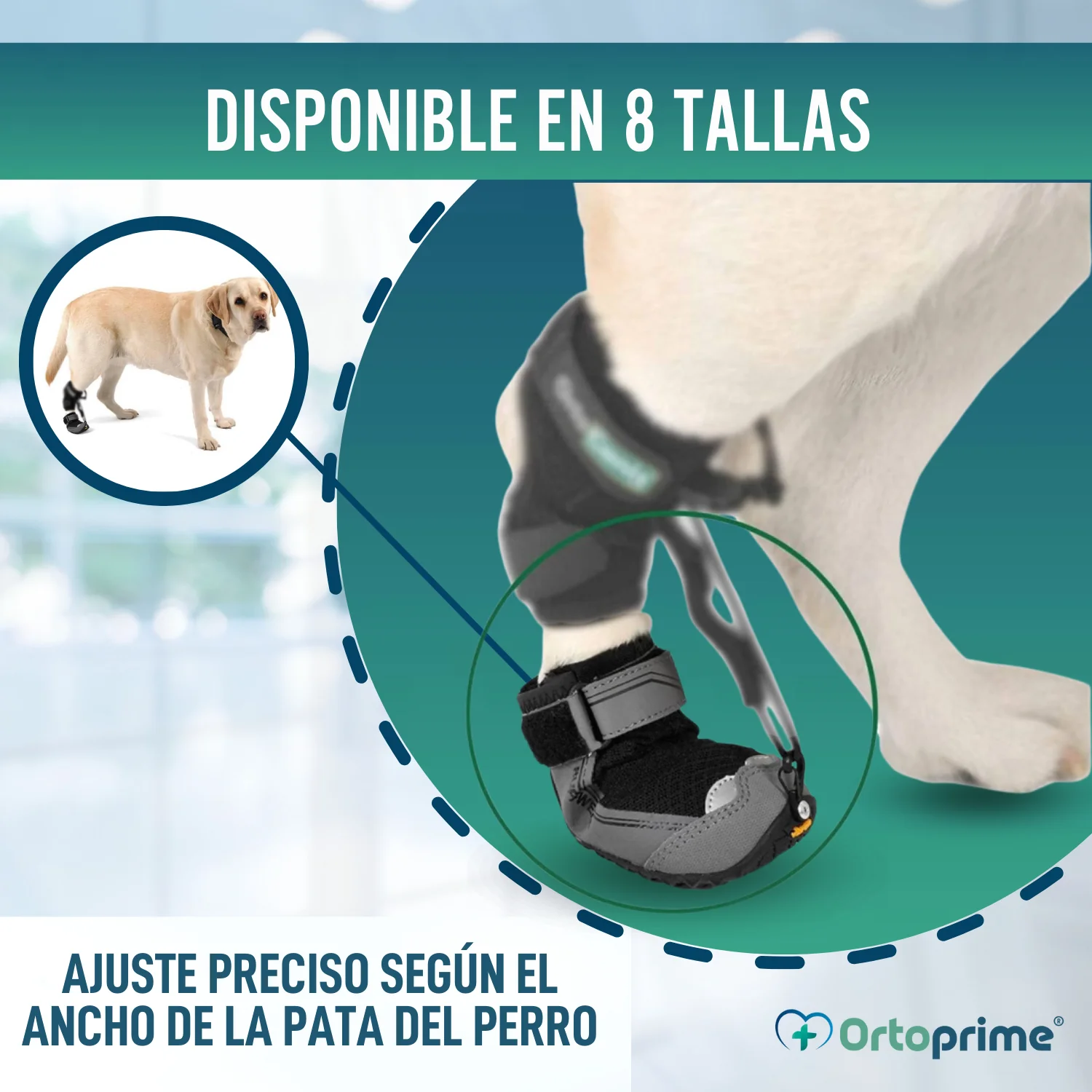 Bota para Corrector Propioceptivo Canino | Suela de Caucho - Image 7