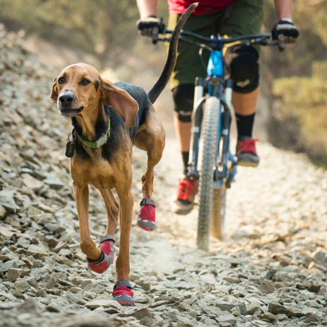 Botas para Perro con Suela Flexible Antideslizante | Por Tallas - Image 3