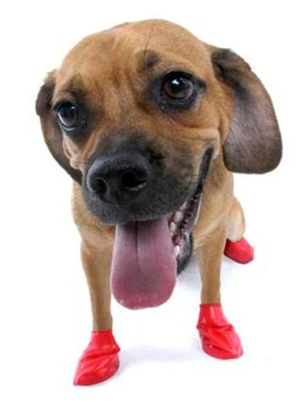 Botas para Perro de Caucho Impermeable Reutilizables | Por Tallas - Image 4