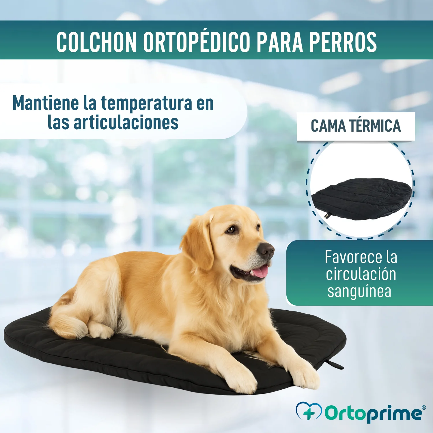 Cama Térmica para Perros con Artrosis | Tejido Terapéutico - Image 5