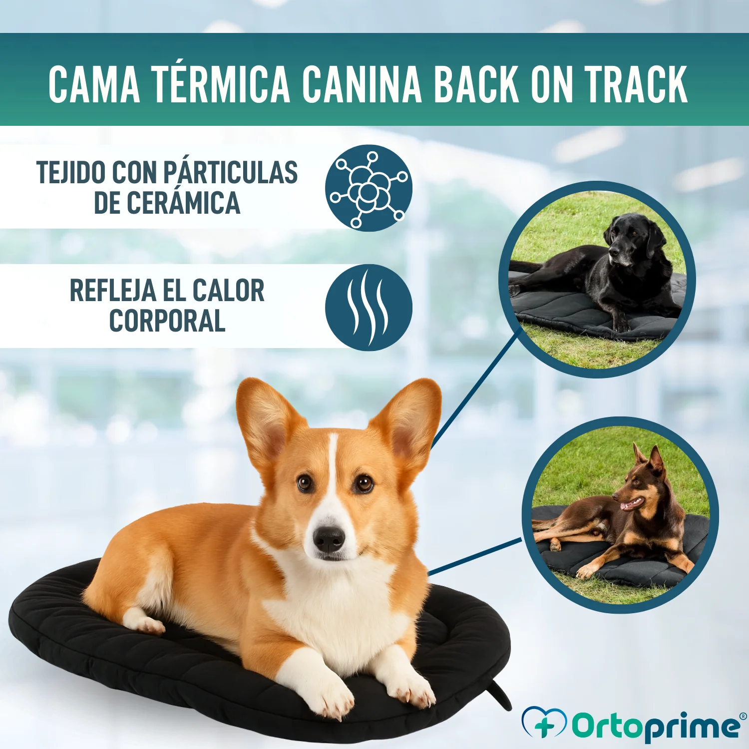 Cama Térmica para Perros con Artrosis | Tejido Terapéutico - Image 6