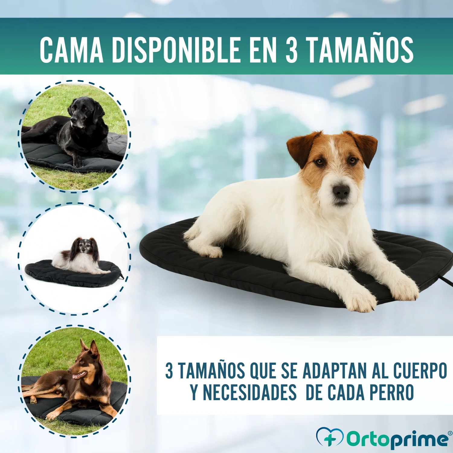 Cama Térmica para Perros con Artrosis | Tejido Terapéutico - Image 8