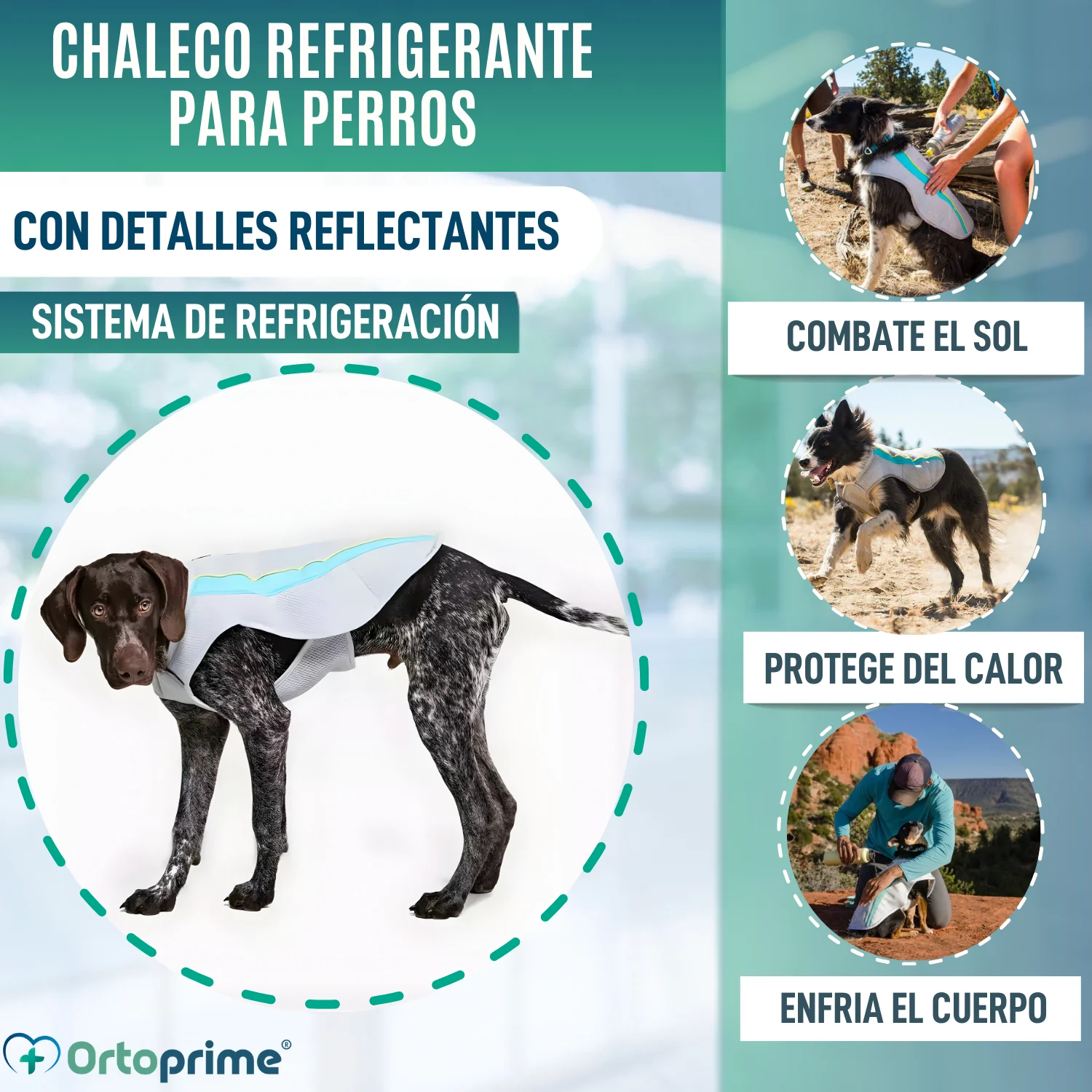 Chaleco de Verano para Perros | Refrigeración Evaporativa - Image 3