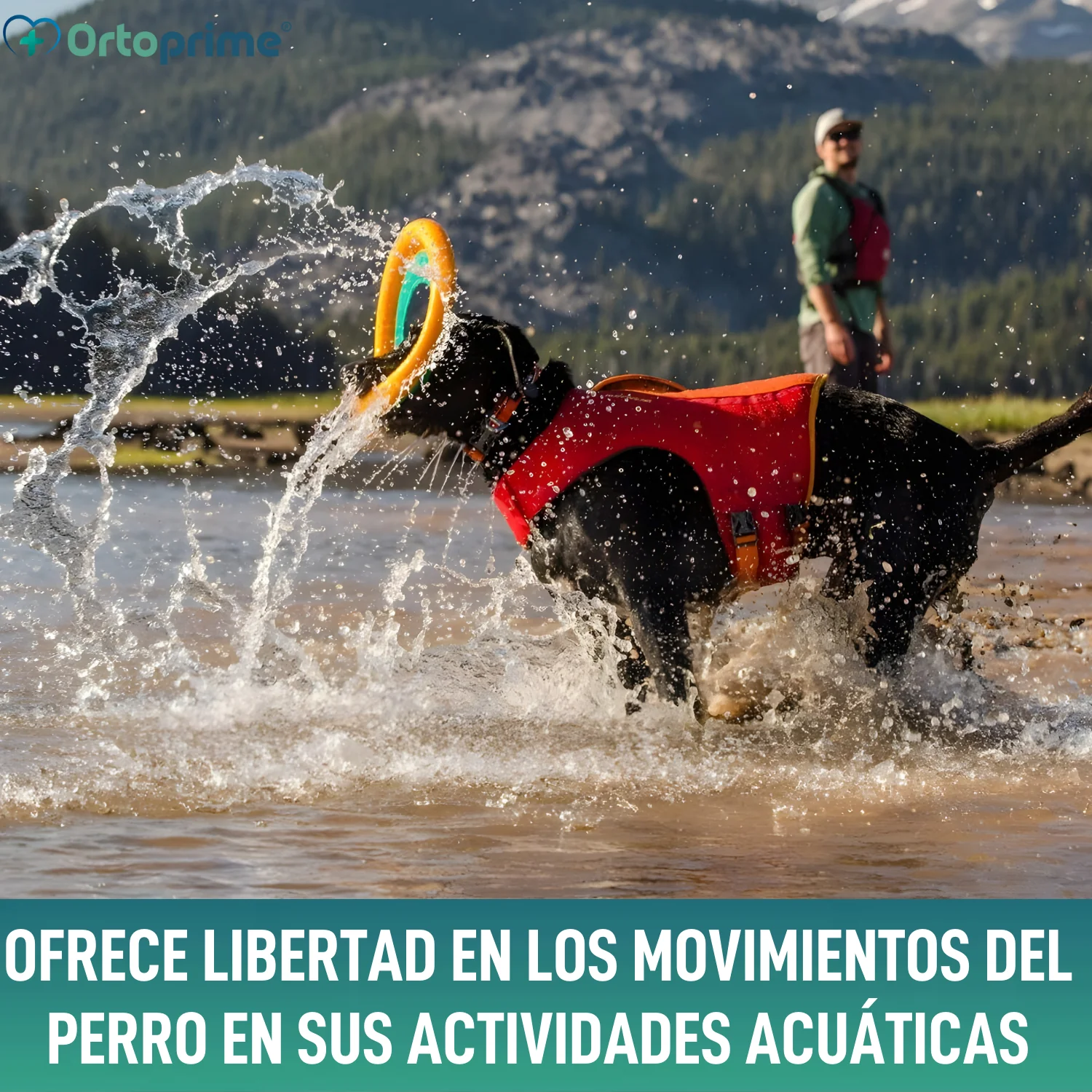 Chaleco Salvavidas Perro Múltiple Uso | Seguridad Acuática - Image 5
