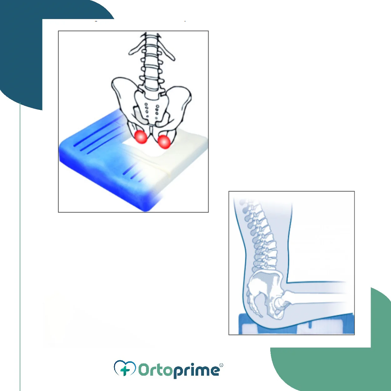 Cojín Antiescaras Ergonómico Efecto Memoria | Alta Protección - Image 8