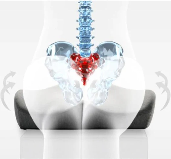 Cojín Ortopédico Antideslizante para Coxis | Ergonomic - Image 5