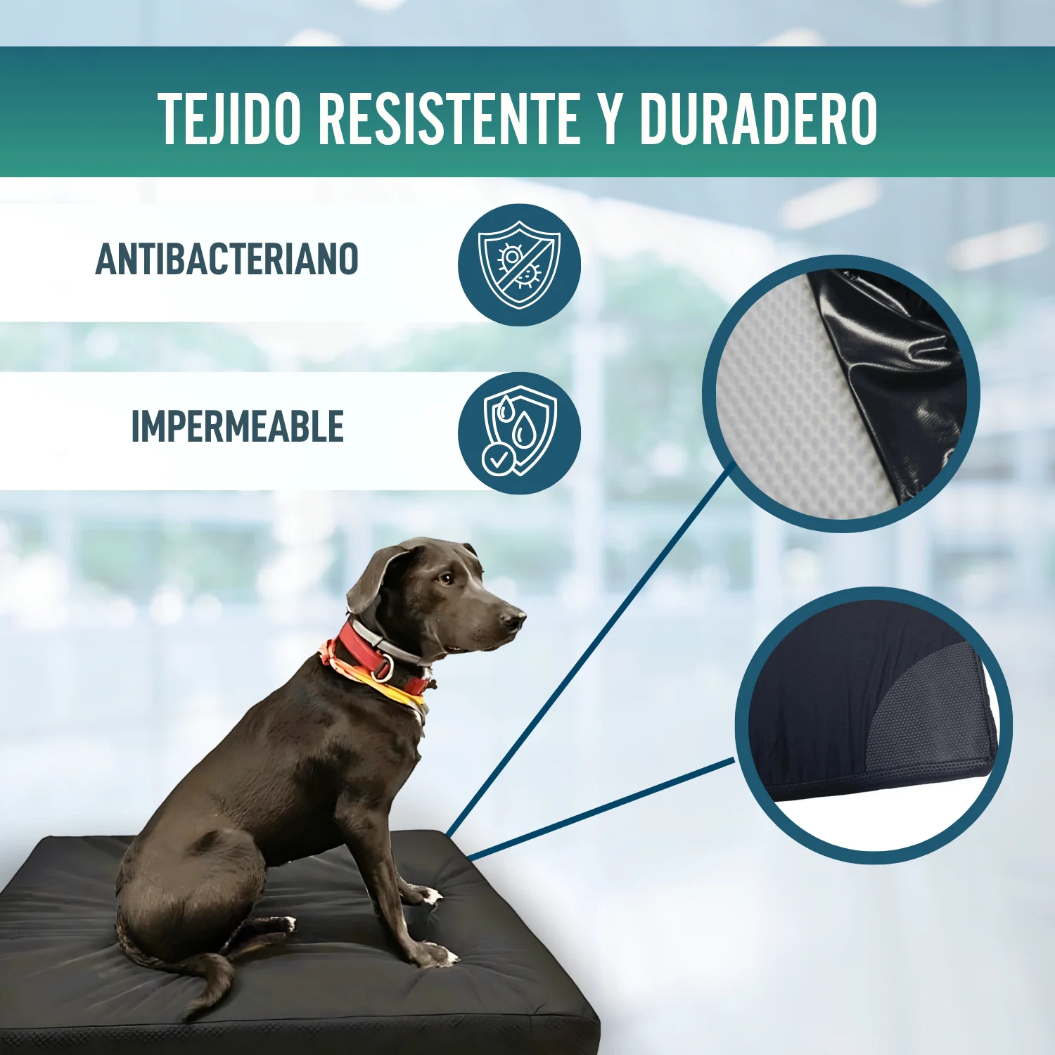 Colchón para Perros Viscoelástico con Funda | 4 Tallas - Image 6