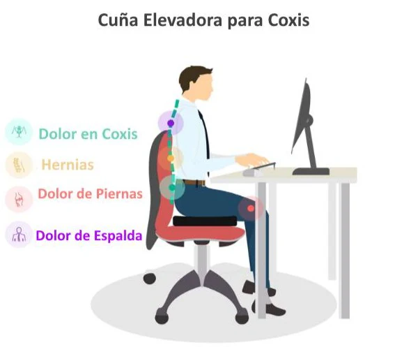 Cojín de Recuperación para Coxis - Image 4