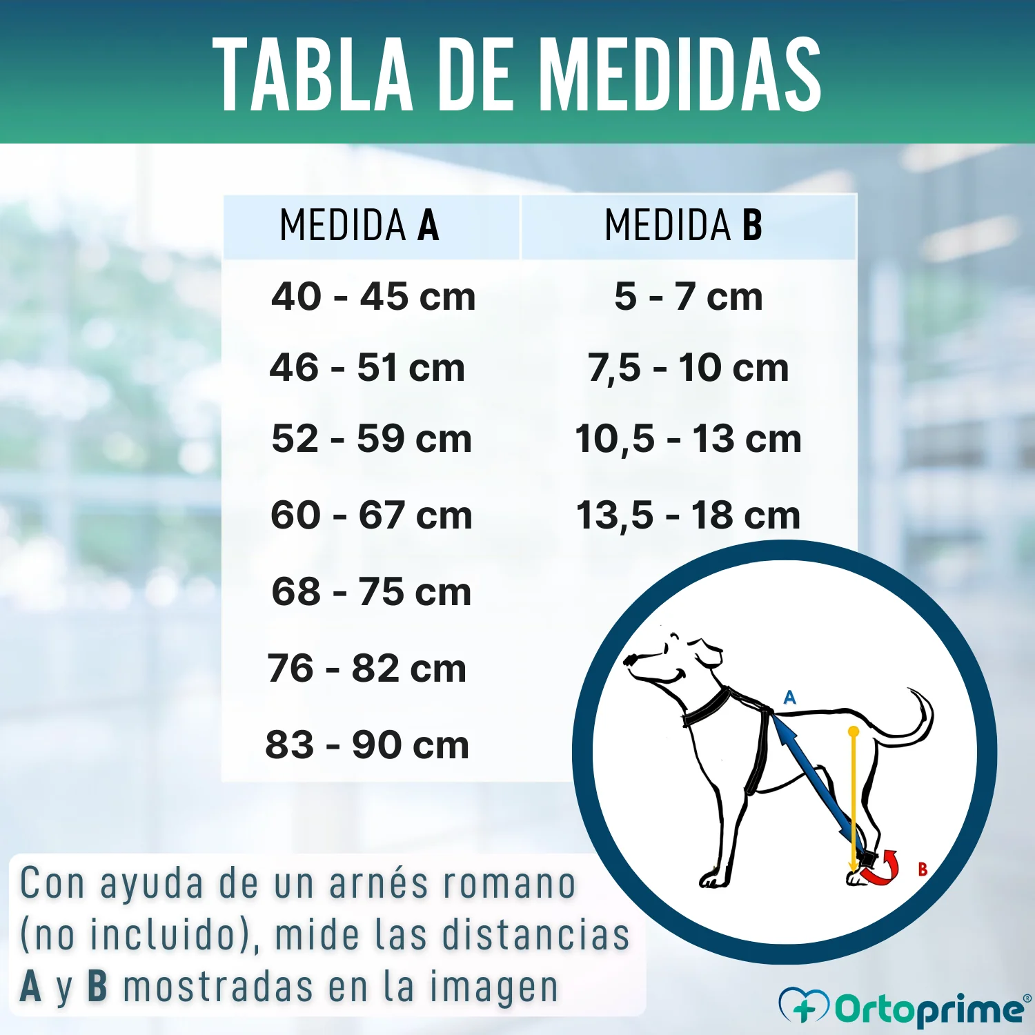 Dispositivo para Ataxia Canina | Asistencia para Perros - Image 2