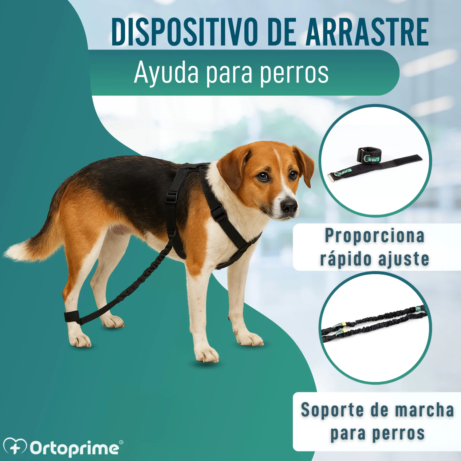 Dispositivo para Ataxia Canina | Asistencia para Perros - Image 3