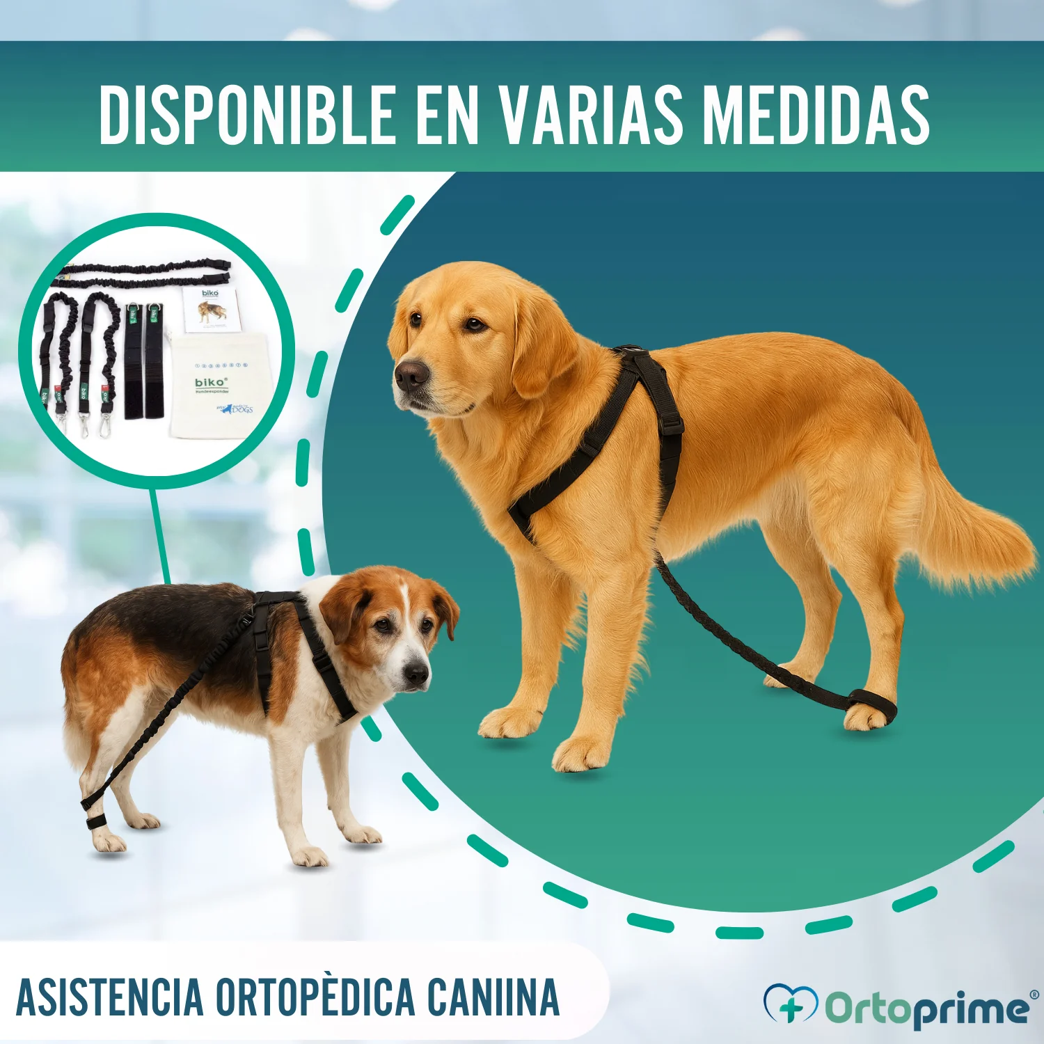 Dispositivo para Ataxia Canina | Asistencia para Perros - Image 8