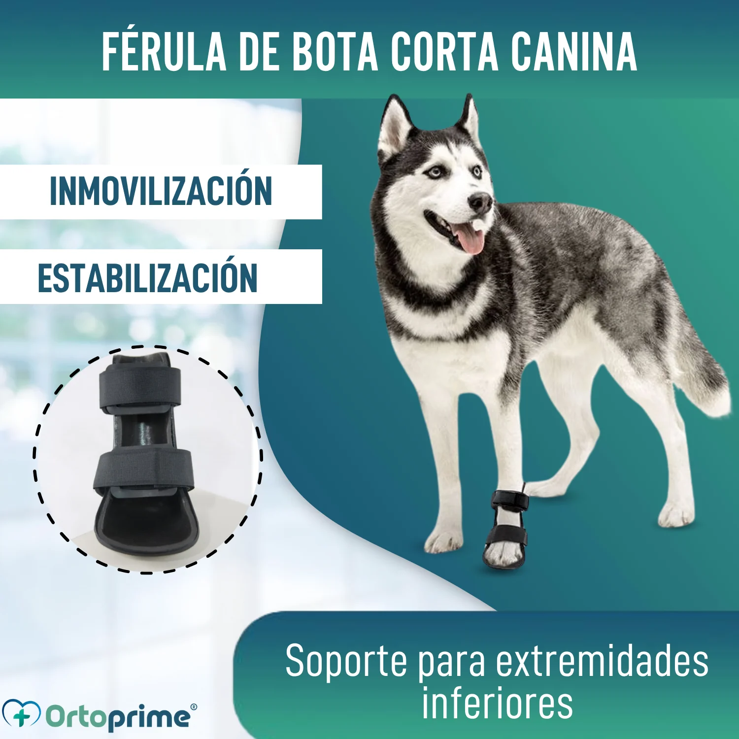 Férula de Bota Corta para Perros con Knuckling | 5 Tallas - Image 3
