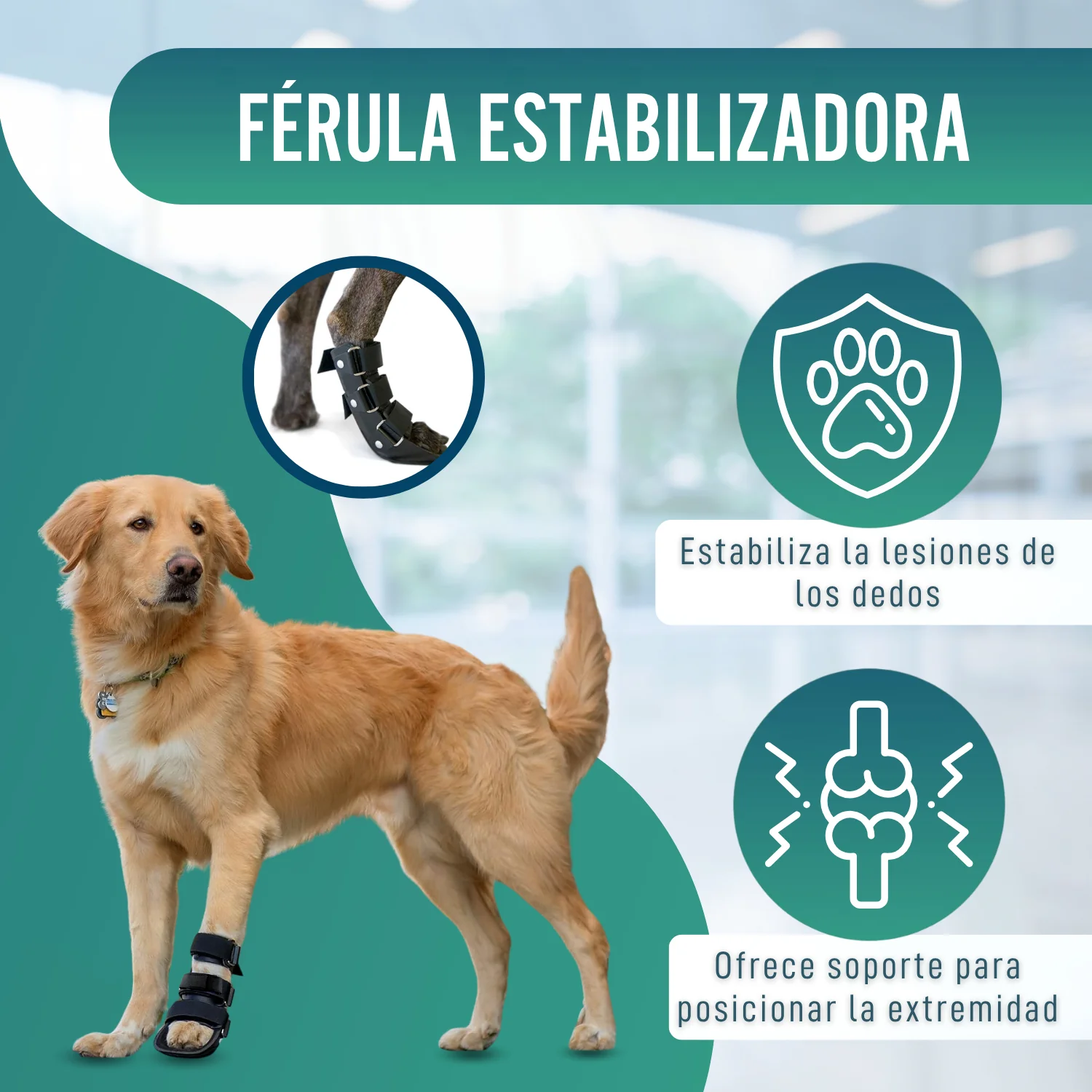 Férula de Bota Corta para Perros con Knuckling | 5 Tallas - Image 4