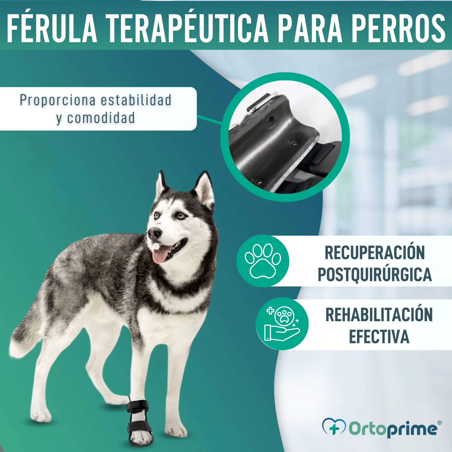Férula de Bota Corta para Perros con Knuckling | 5 Tallas - Image 7