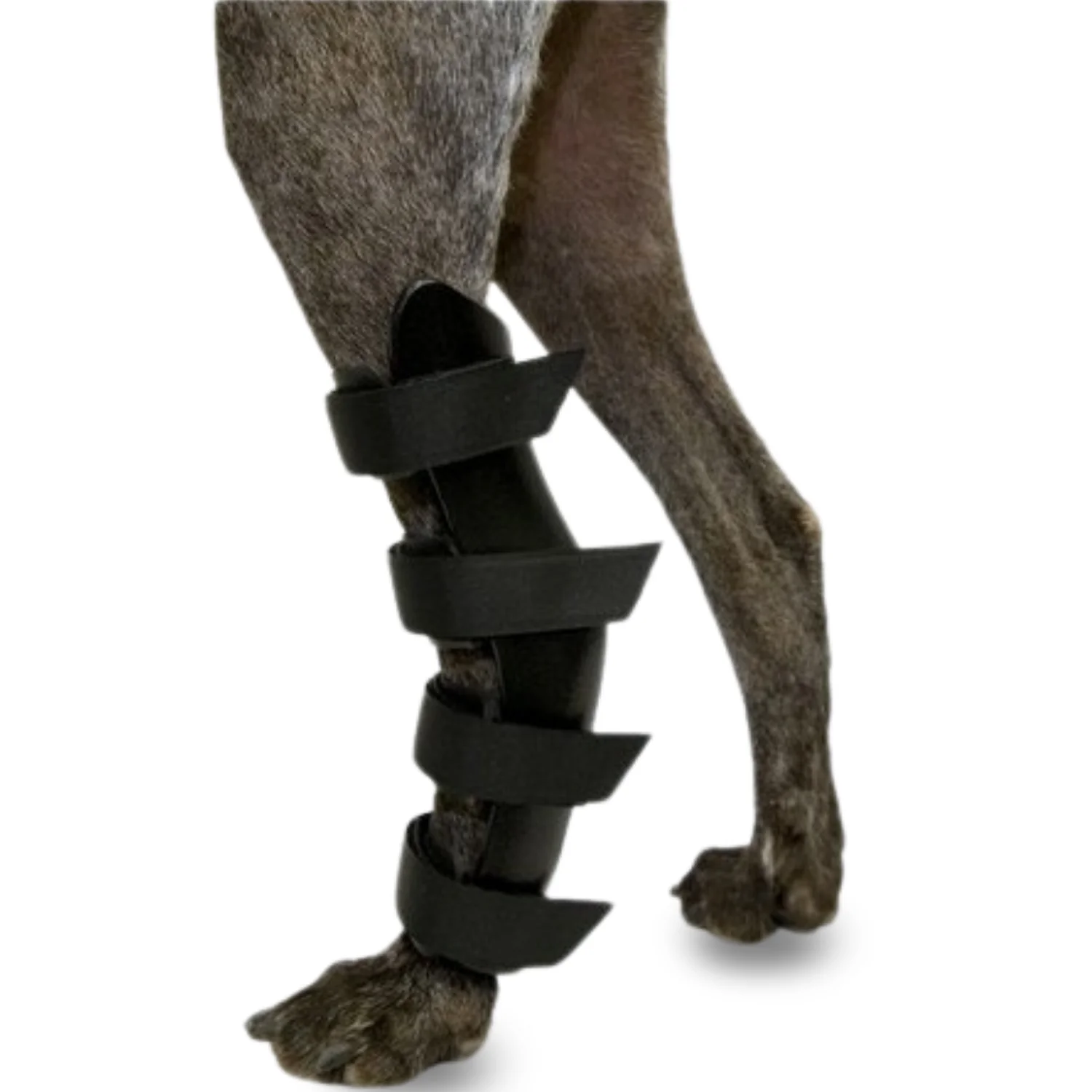 Férula Ortopédica para Perros con Lesiones de Tarso y Tobillo