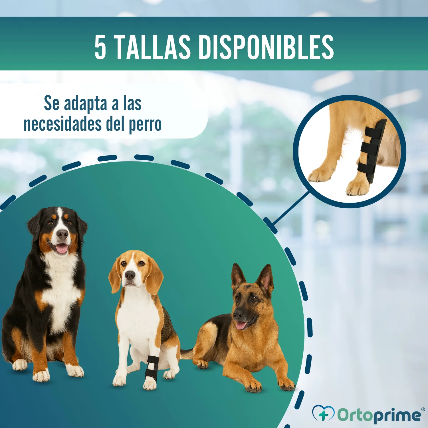 Férula Ortopédica para Perros con Lesiones de Tarso y Tobillo - Image 8