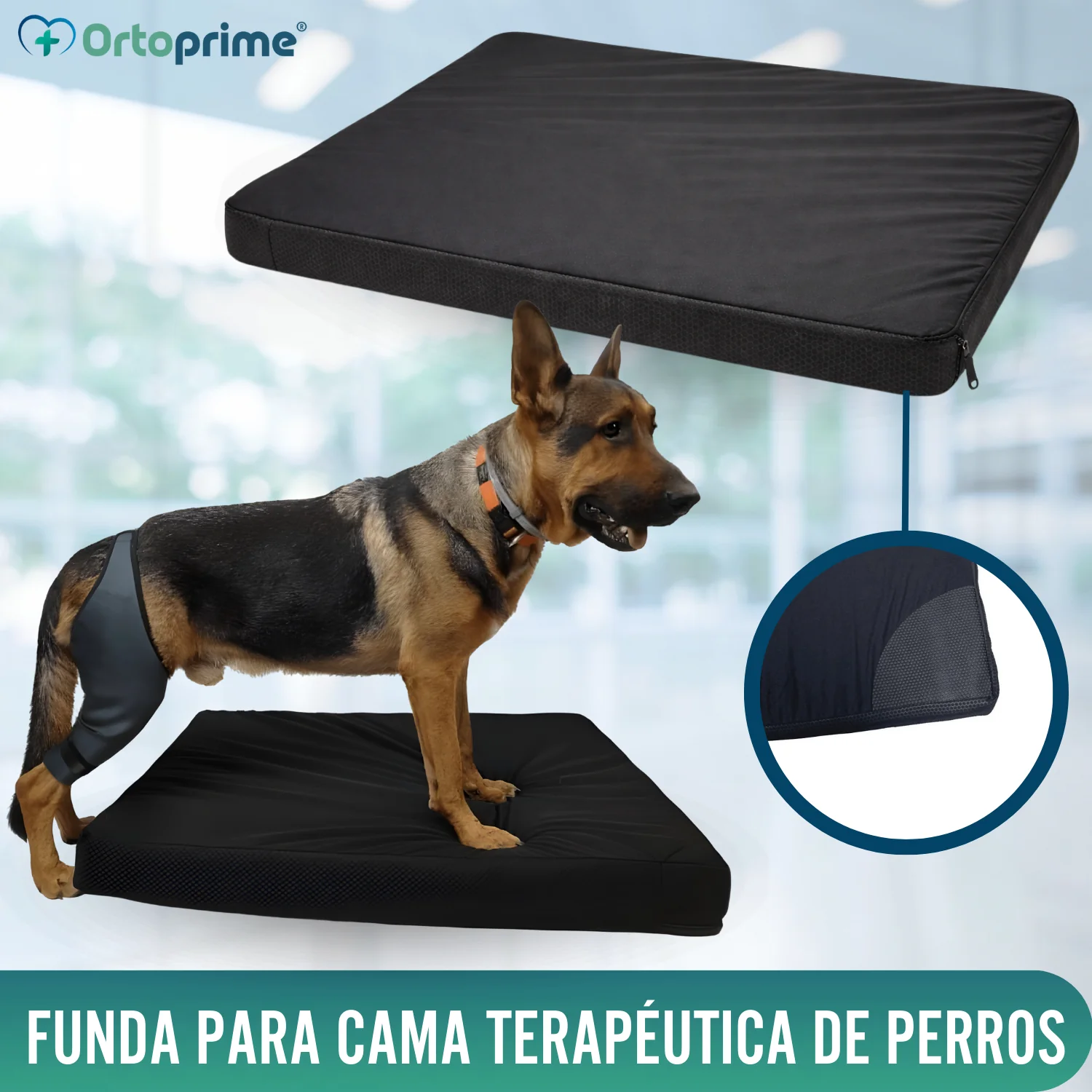 Funda Impermeable para Colchón Ortopédico Canino | 4 Medidas - Image 5