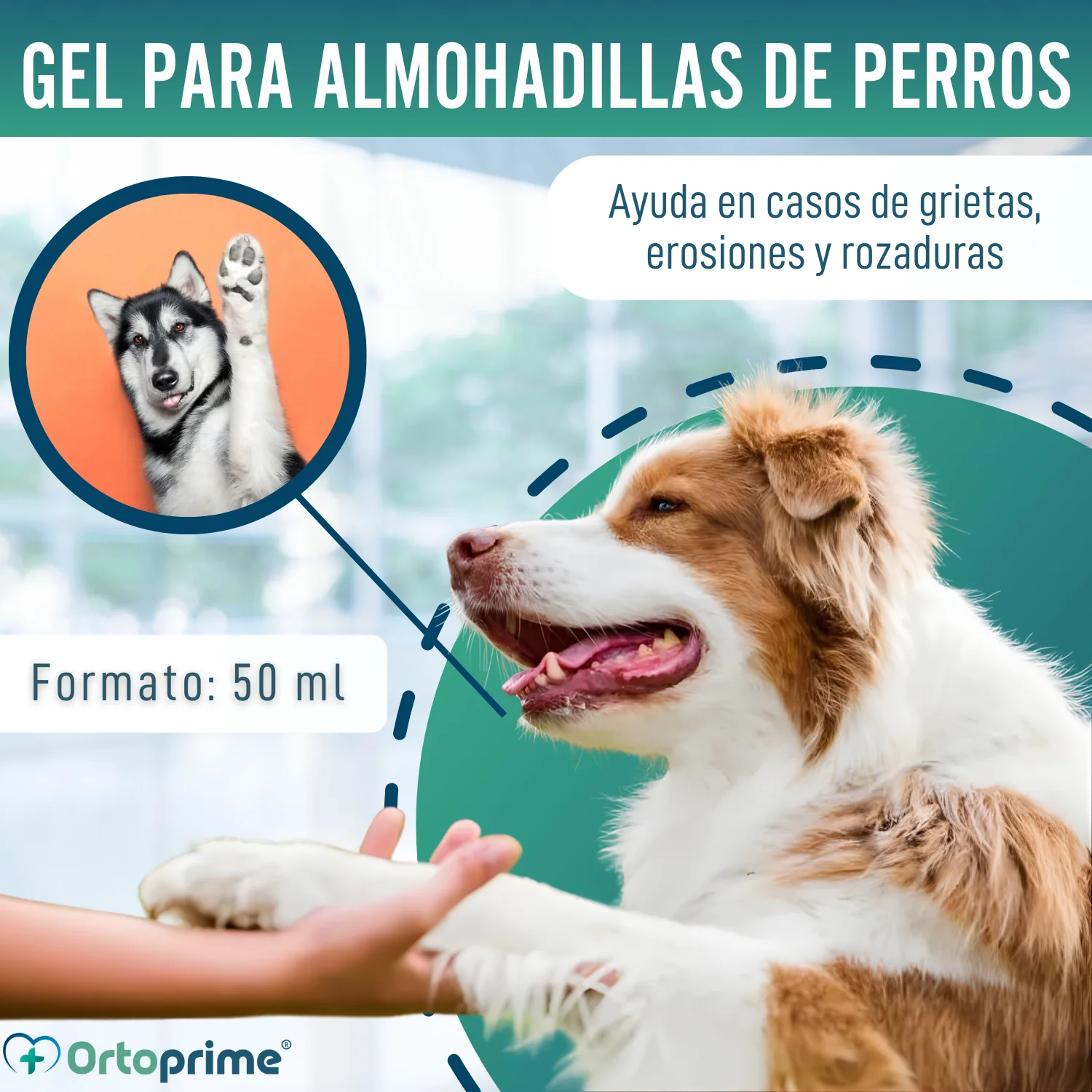 Gel Protector de Almohadillas para Perros | Aloe Vera 50ml - Image 2
