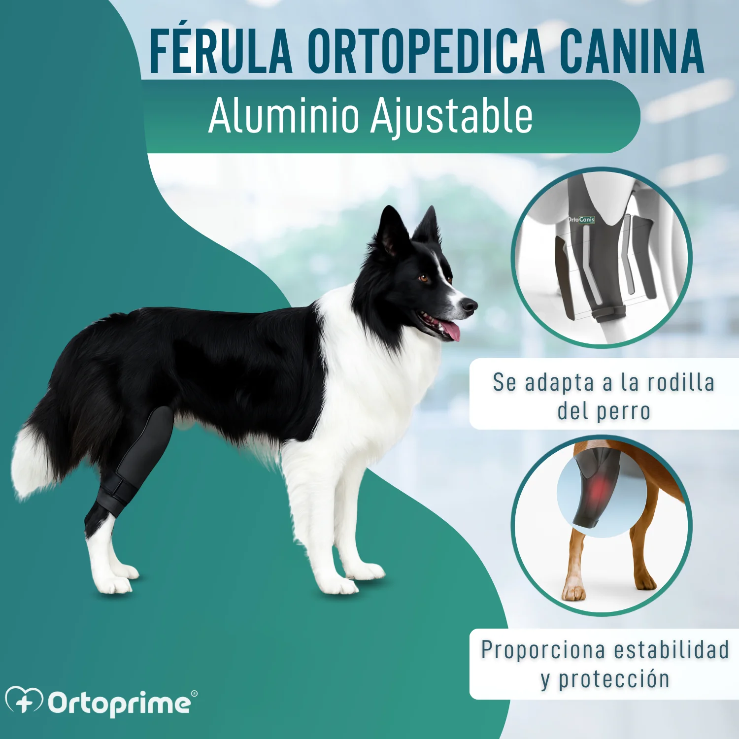 Inmovilizador de Rodilla para Perros de Neopreno | 9 Tallas - Image 4