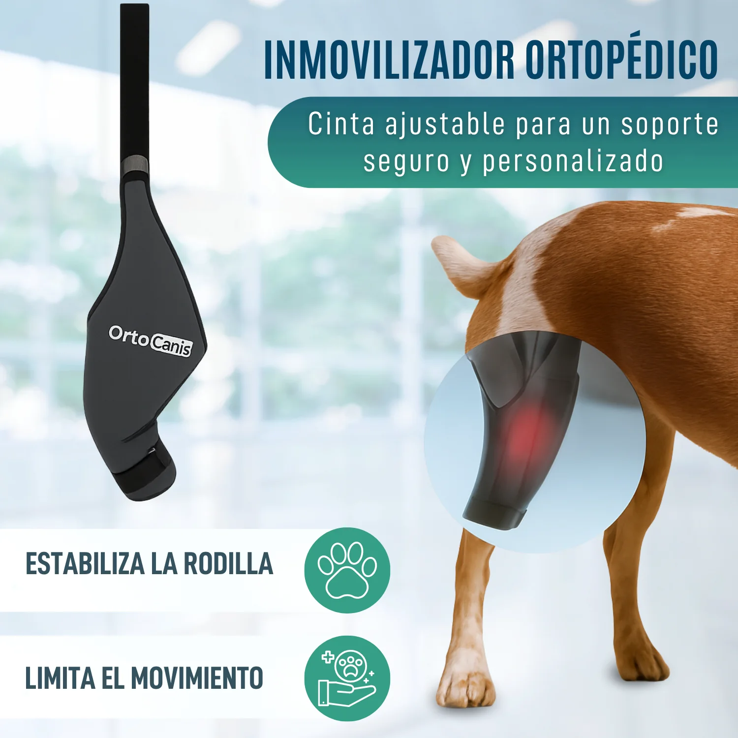 Inmovilizador de Rodilla para Perros de Neopreno | 9 Tallas - Image 5