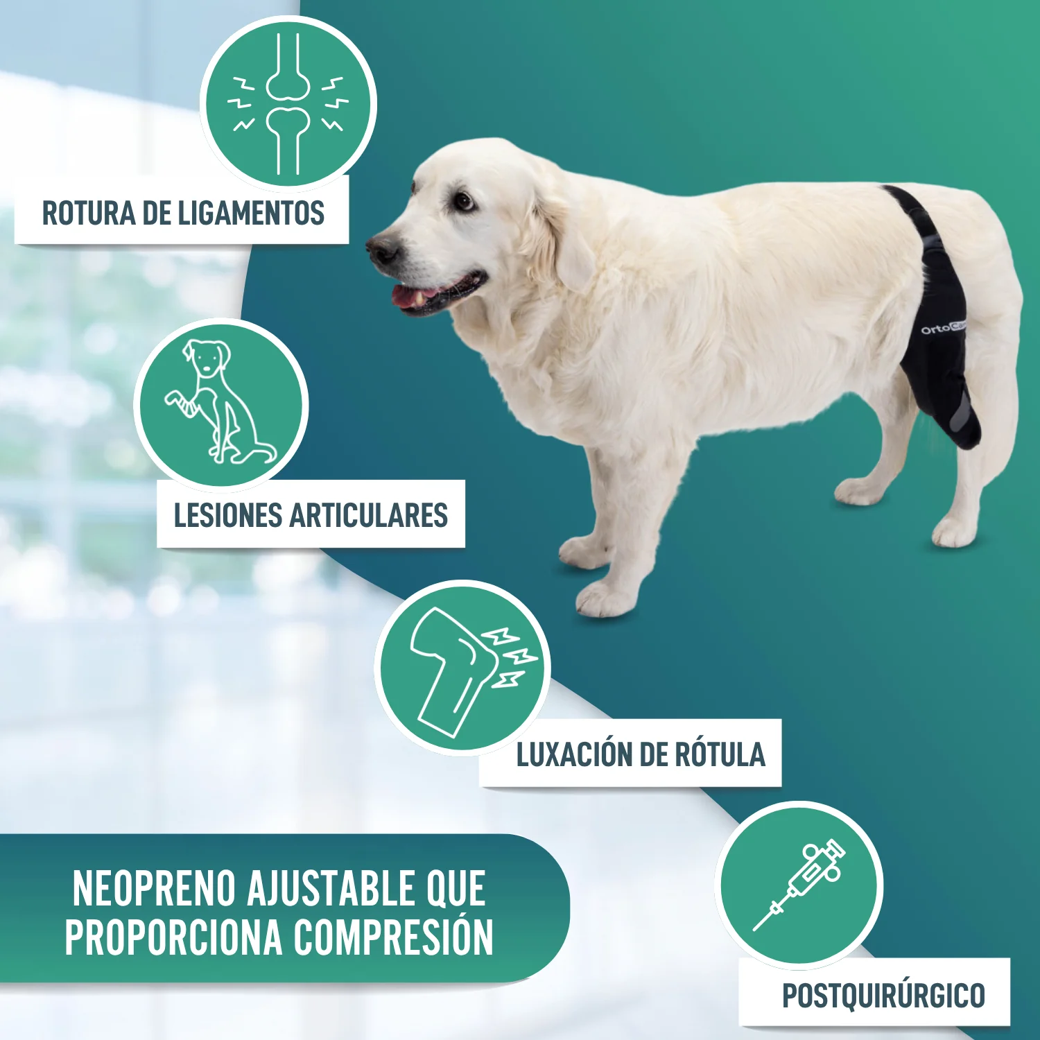 Inmovilizador de Rodilla para Perros de Neopreno | 9 Tallas - Image 6