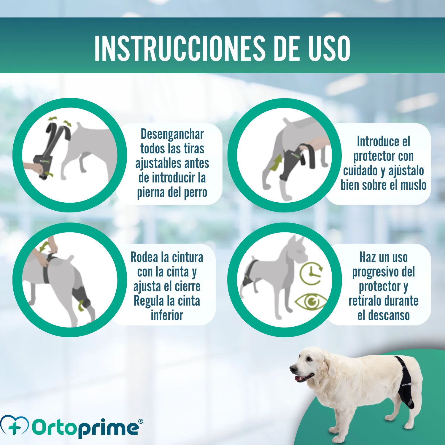 Inmovilizador de Rodilla para Perros de Neopreno | 9 Tallas - Image 8