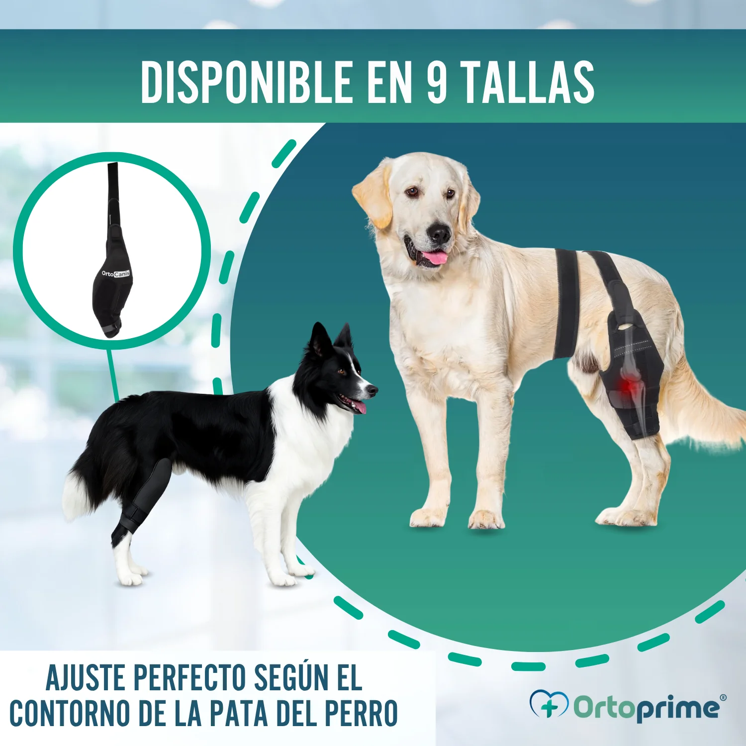 Inmovilizador de Rodilla para Perros de Neopreno | 9 Tallas - Image 9