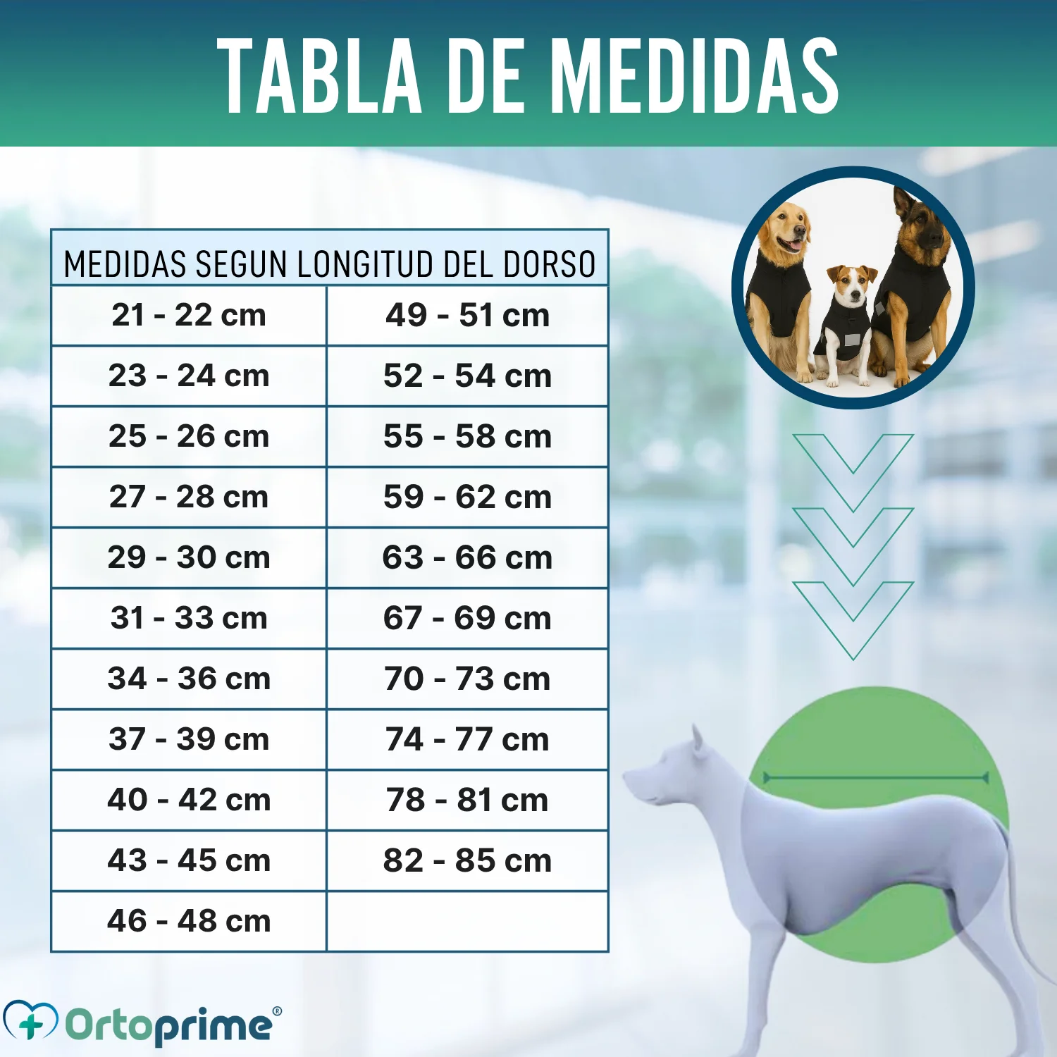 Manta Terapéutica Canina con Tejido Back on Track | 21 Tallas - Image 2