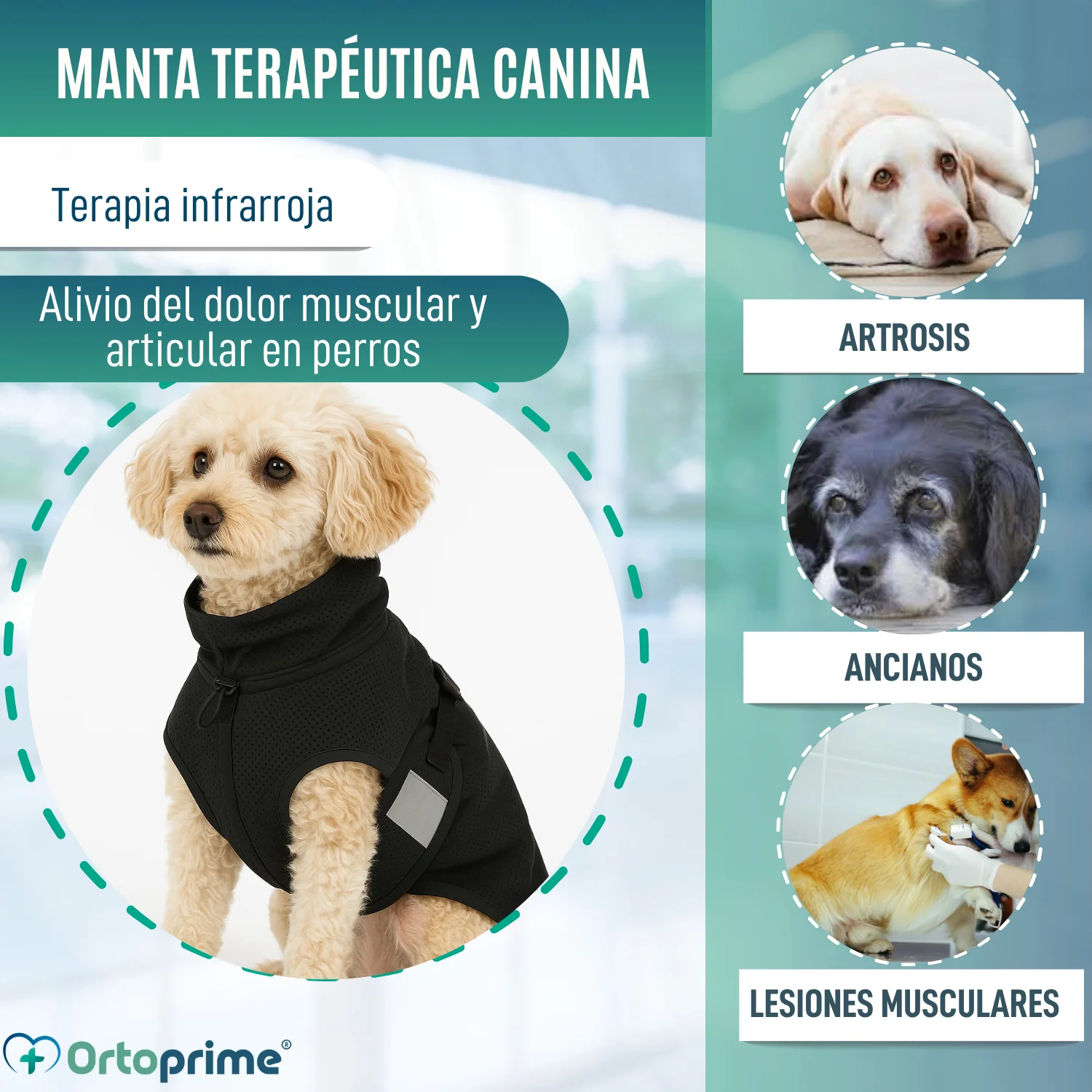 Manta Terapéutica Canina con Tejido Back on Track | 21 Tallas - Image 3