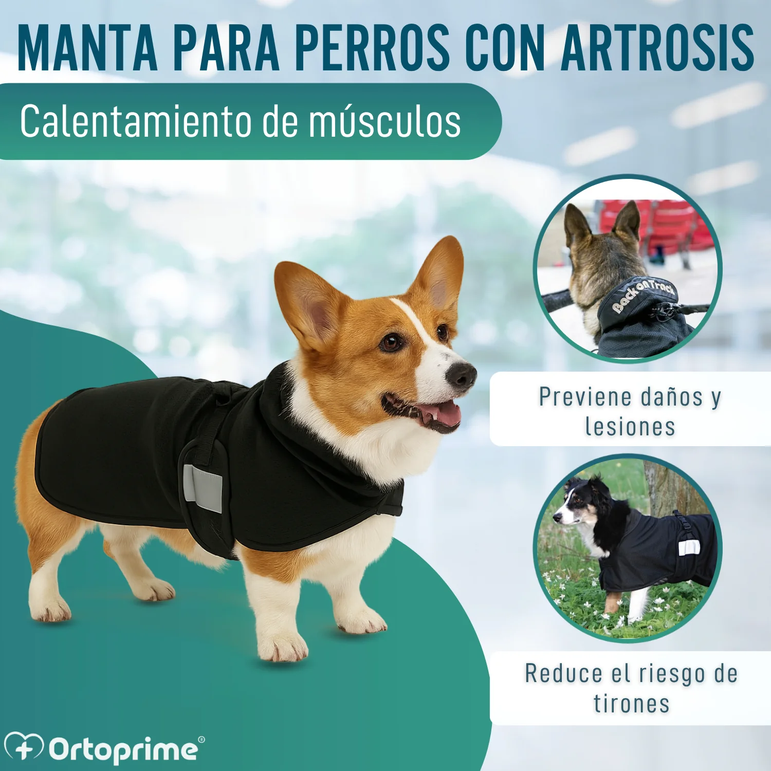 Manta Terapéutica Canina con Tejido Back on Track | 21 Tallas - Image 4