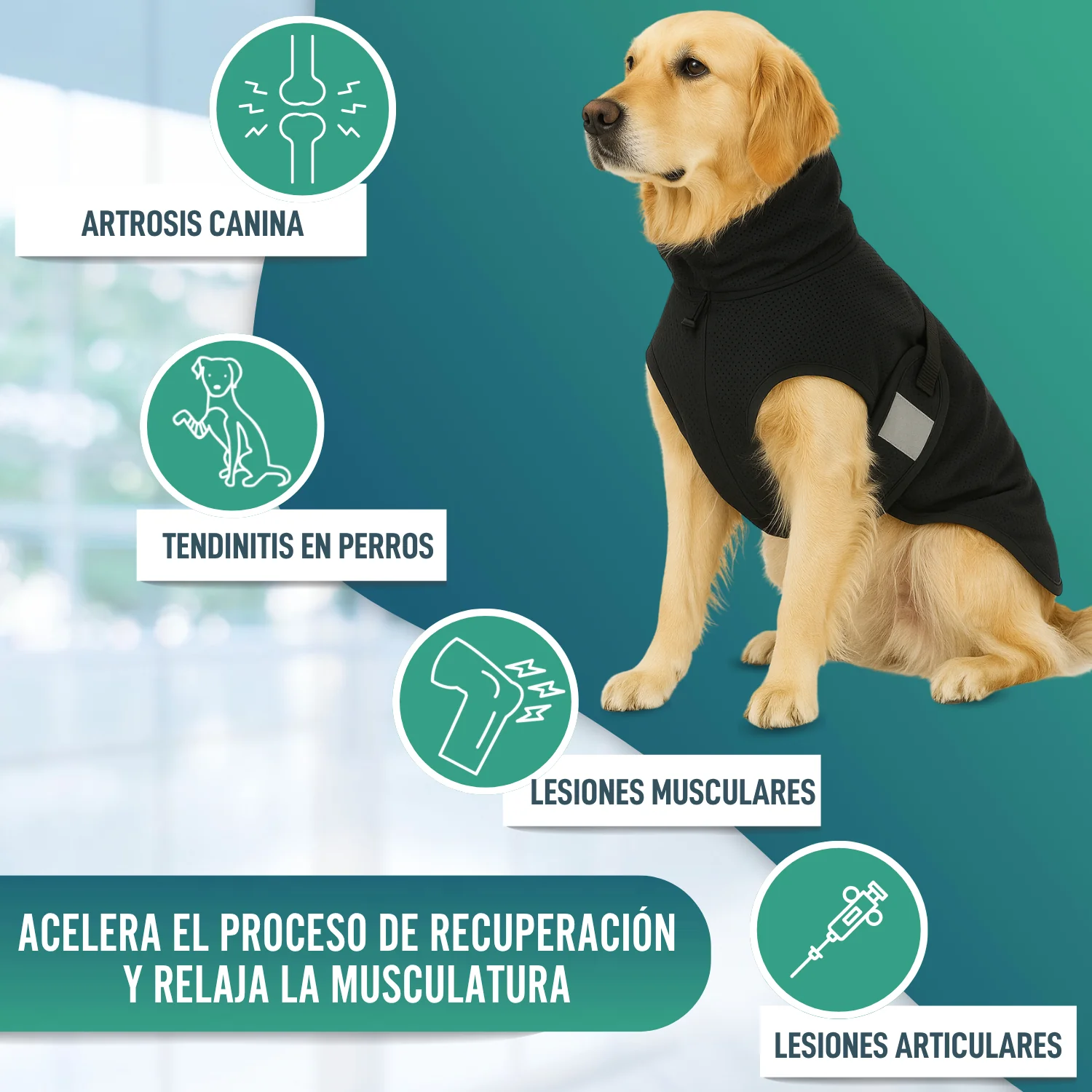 Manta Terapéutica Canina con Tejido Back on Track | 21 Tallas - Image 6