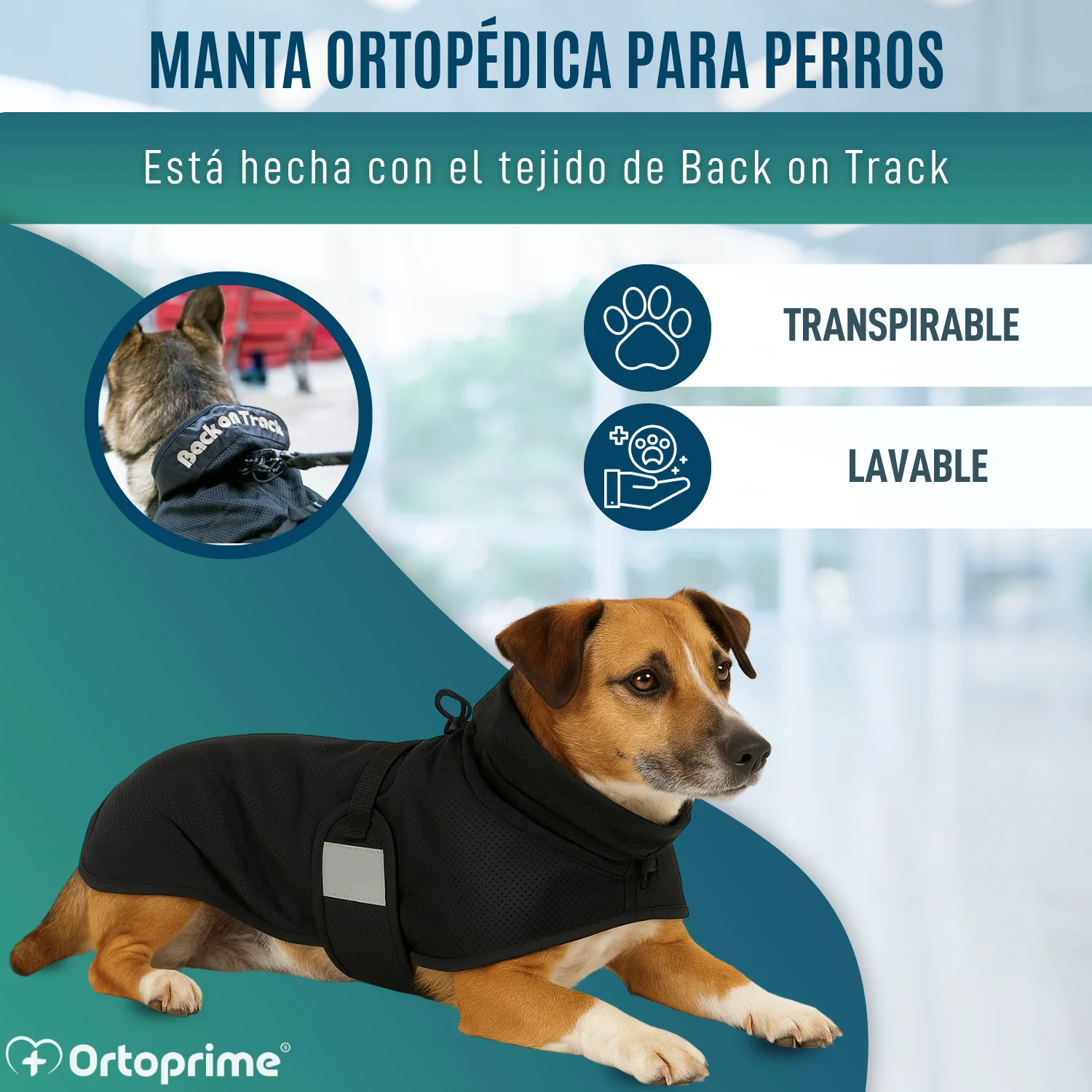 Manta Terapéutica Canina con Tejido Back on Track | 21 Tallas - Image 7