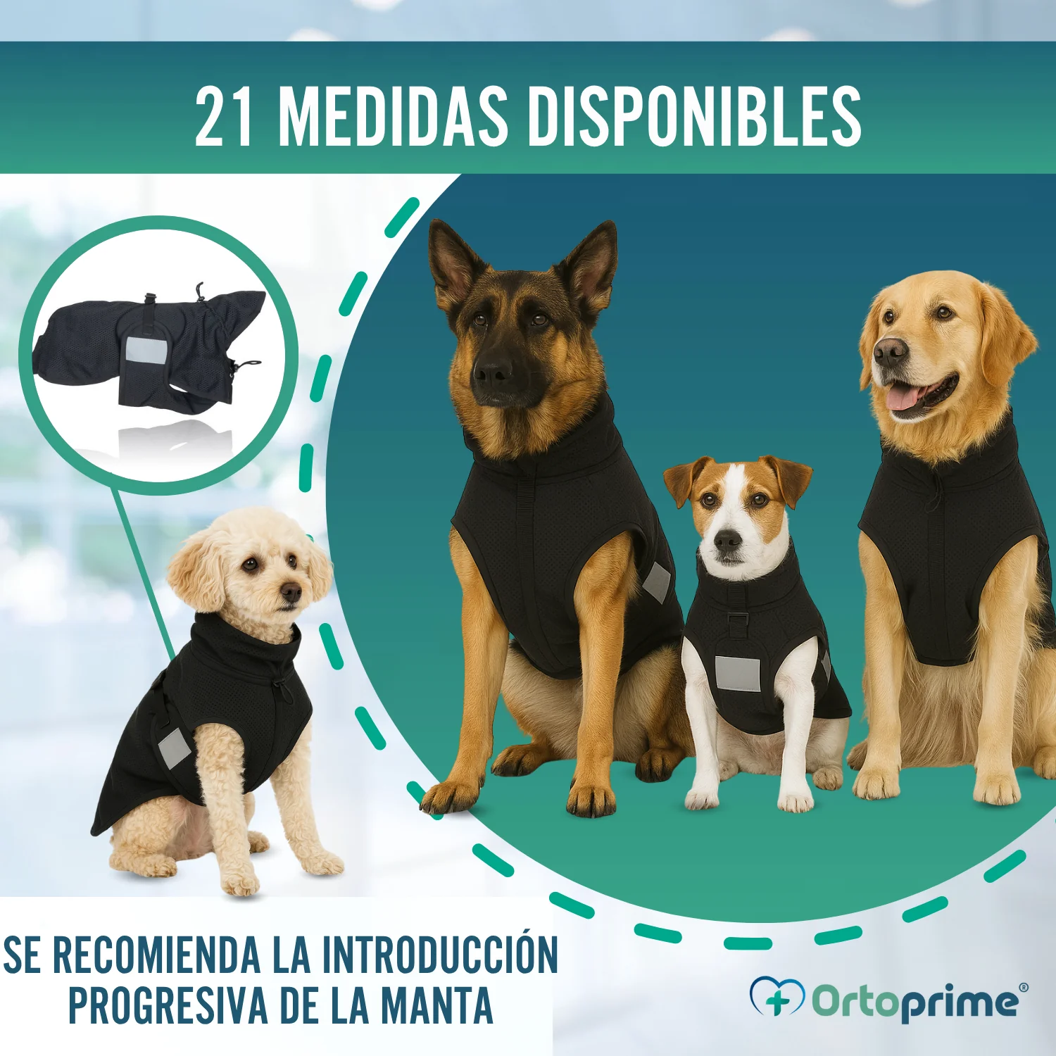 Manta Terapéutica Canina con Tejido Back on Track | 21 Tallas - Image 8