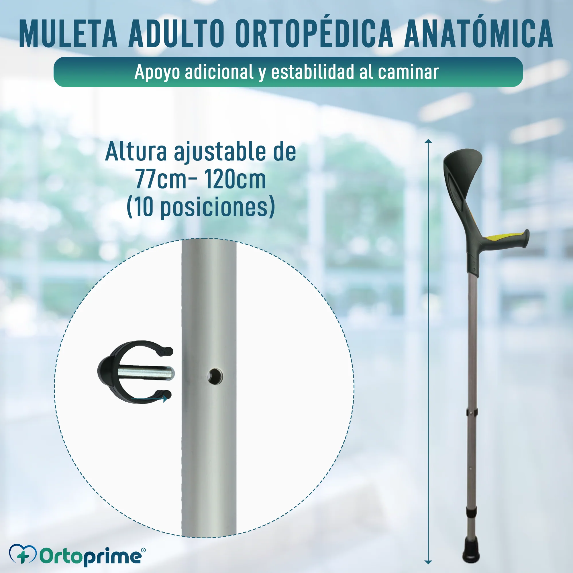 Muleta Adulto Ortopédica Anatómica Verde Pistacho | 1 unidad - Image 3