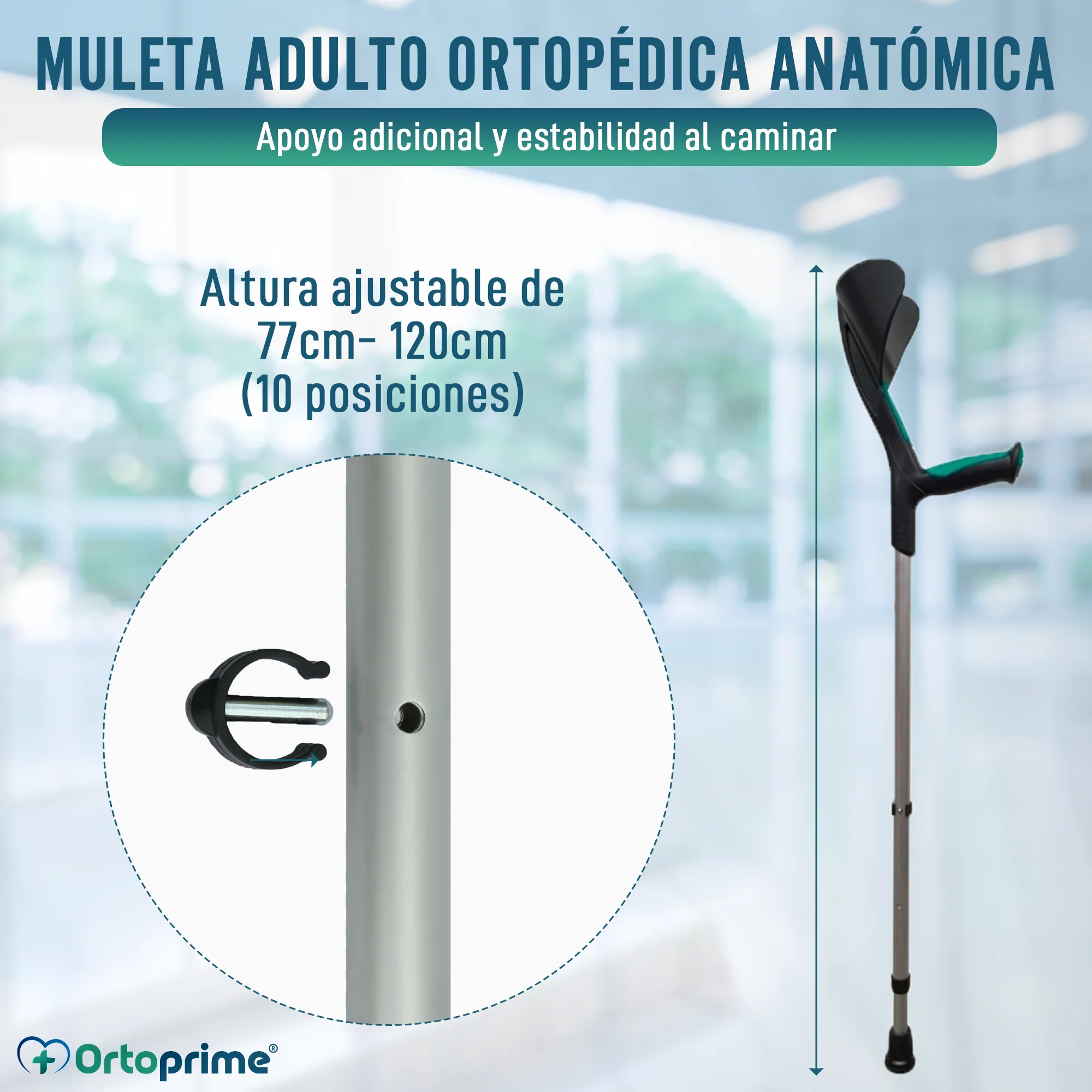 Muleta Adulto Ortopédica Anatómica Verde | 1 Unidad - Image 3