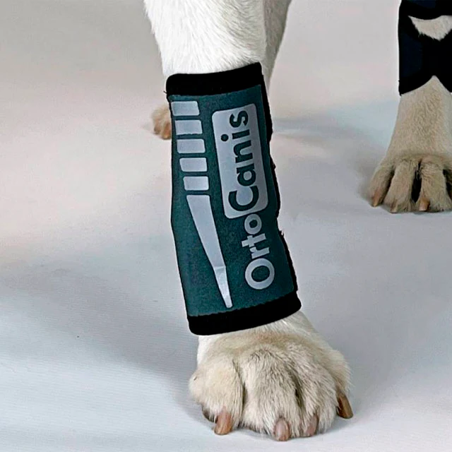 Muñequera para Perros con Lesiones de Tendones o Musculares - Image 7
