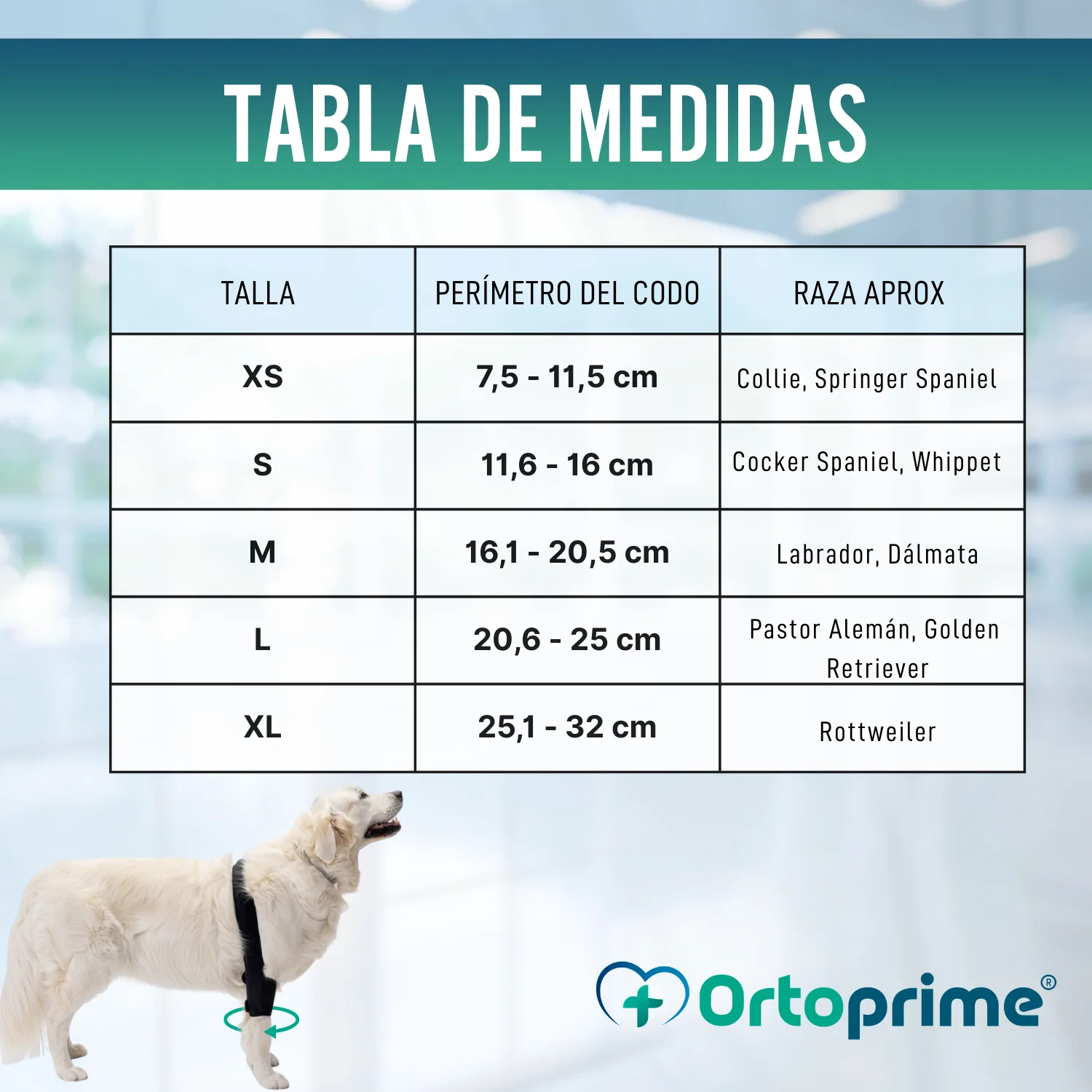 Órtesis de Codo para Perros con Artrosis Rehabilitación Canina - Image 2