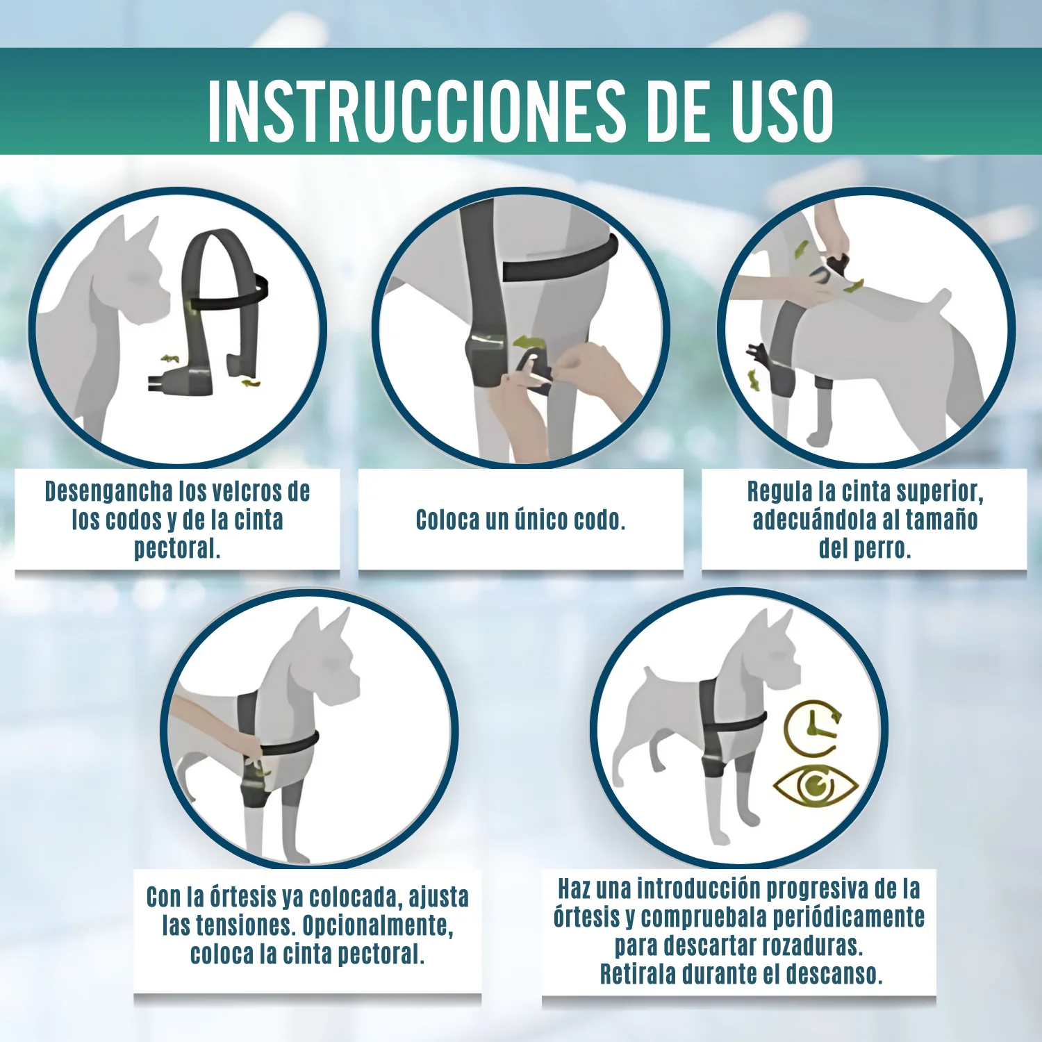 Órtesis de Codo para Perros con Artrosis Rehabilitación Canina - Image 9