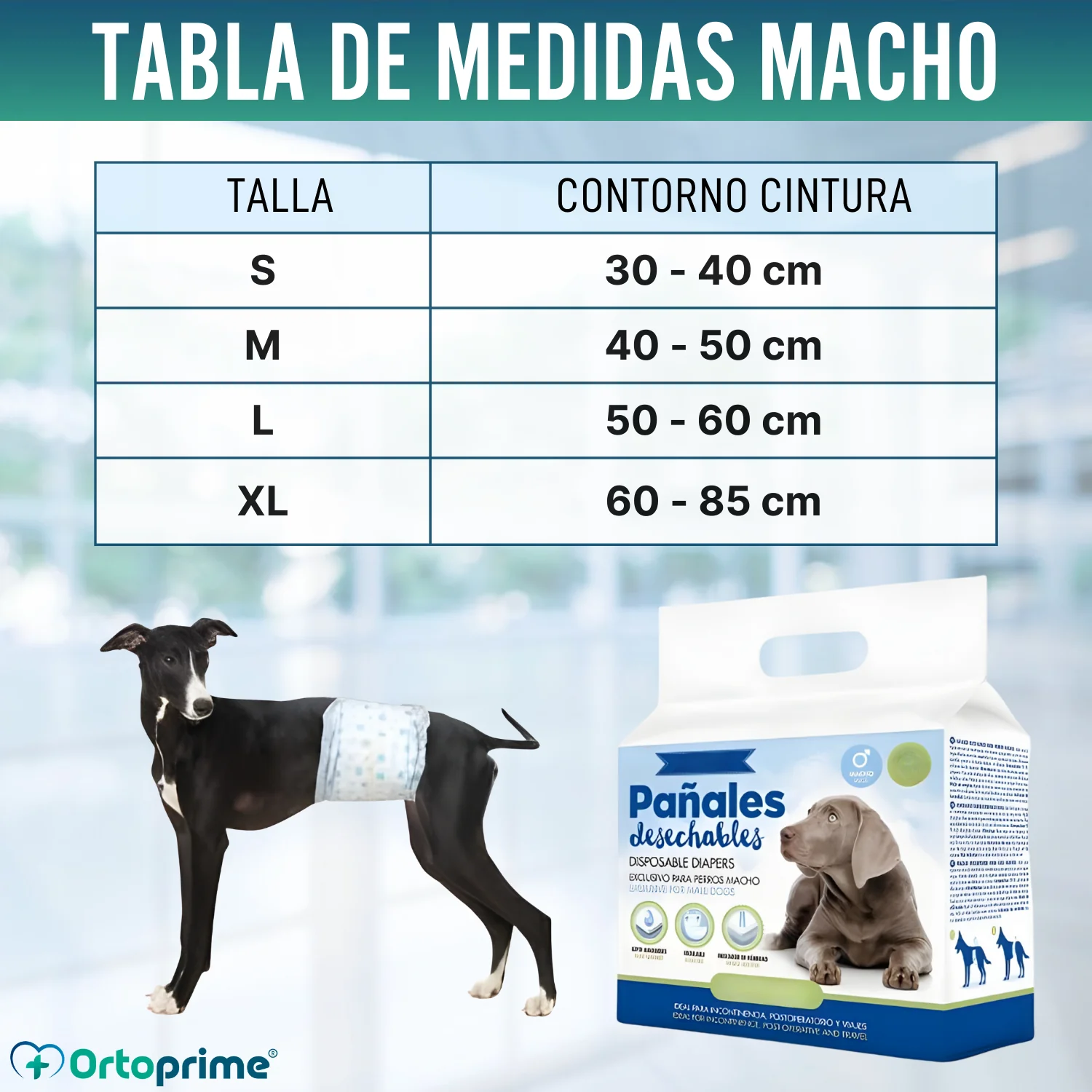 Pañales para Perro Macho Ultra Absorbente | Pack 12 Unidades - Image 2