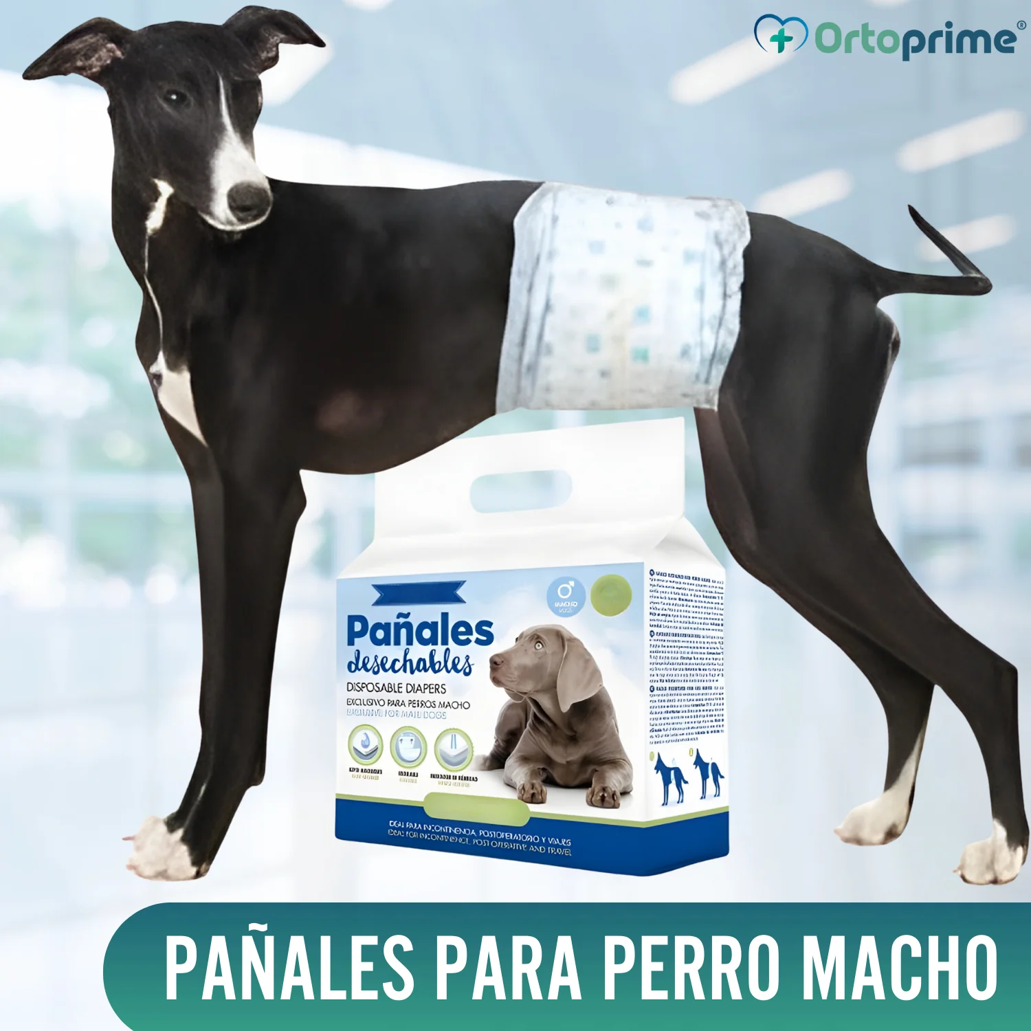 Pañales para Perro Macho Ultra Absorbente | Pack 12 Unidades - Image 4