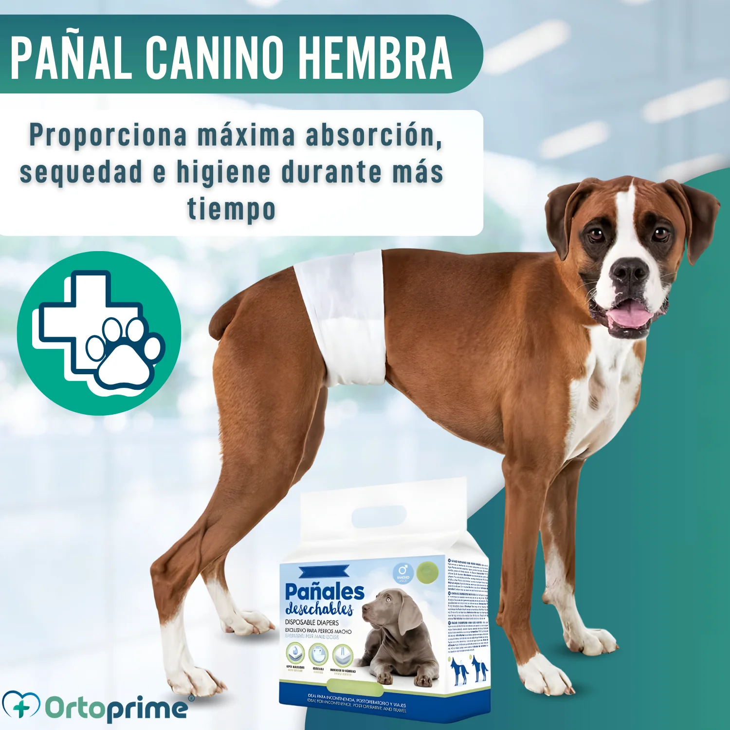 Pañales para Perro Macho Ultra Absorbente | Pack 12 Unidades - Image 5