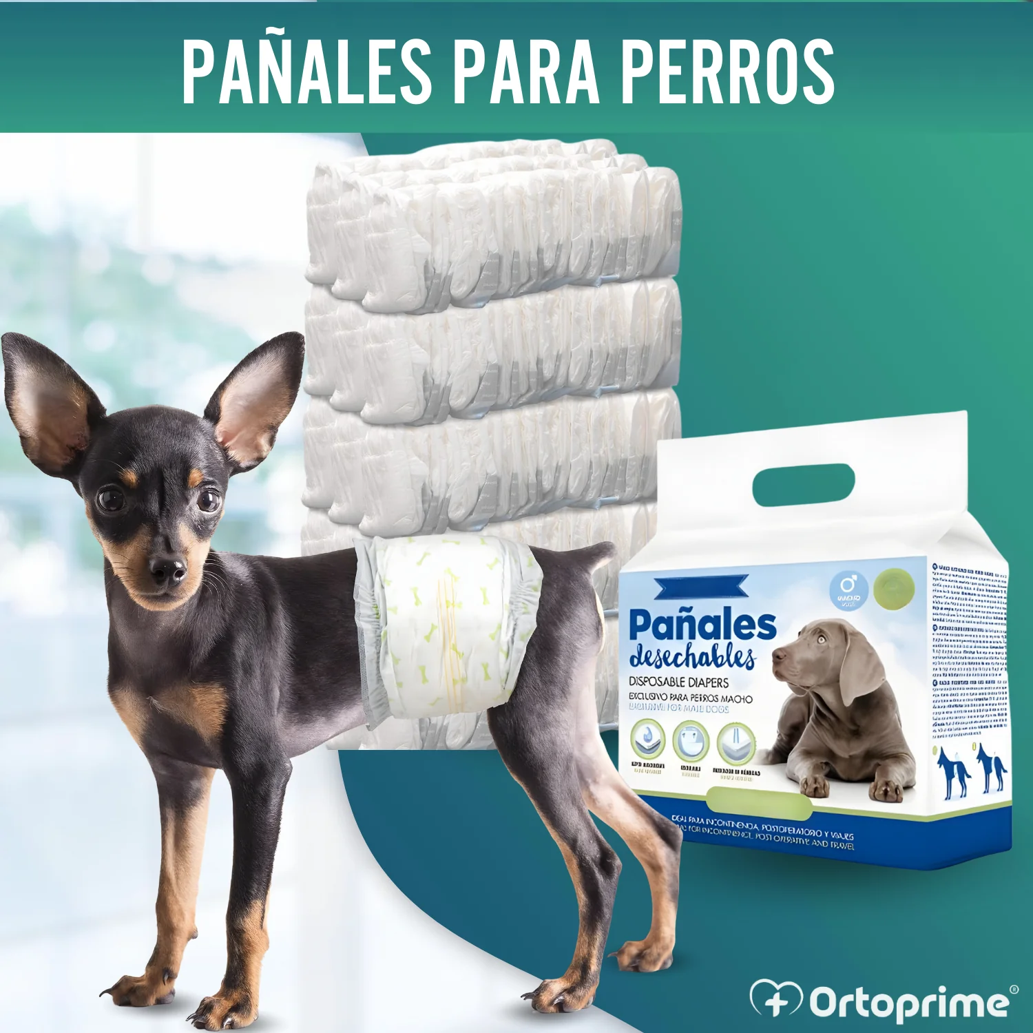 Pañales para Perro Macho Ultra Absorbente | Pack 12 Unidades - Image 6