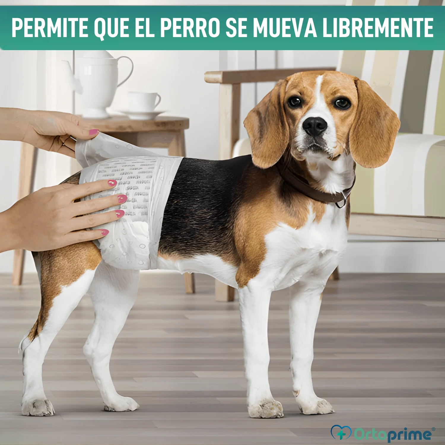 Pañales para Perro Macho Ultra Absorbente | Pack 12 Unidades - Image 7