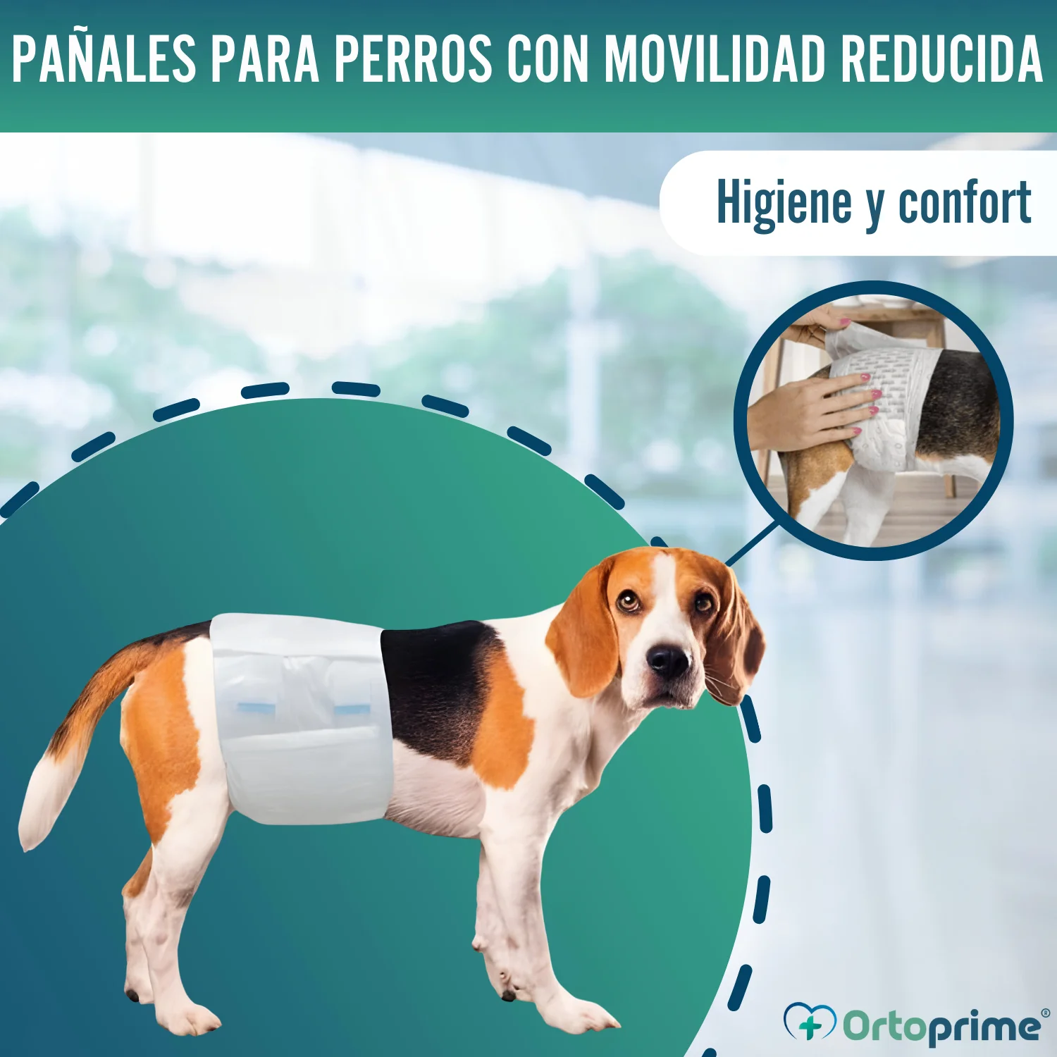 Pañales para Perro Macho Ultra Absorbente | Pack 12 Unidades - Image 8
