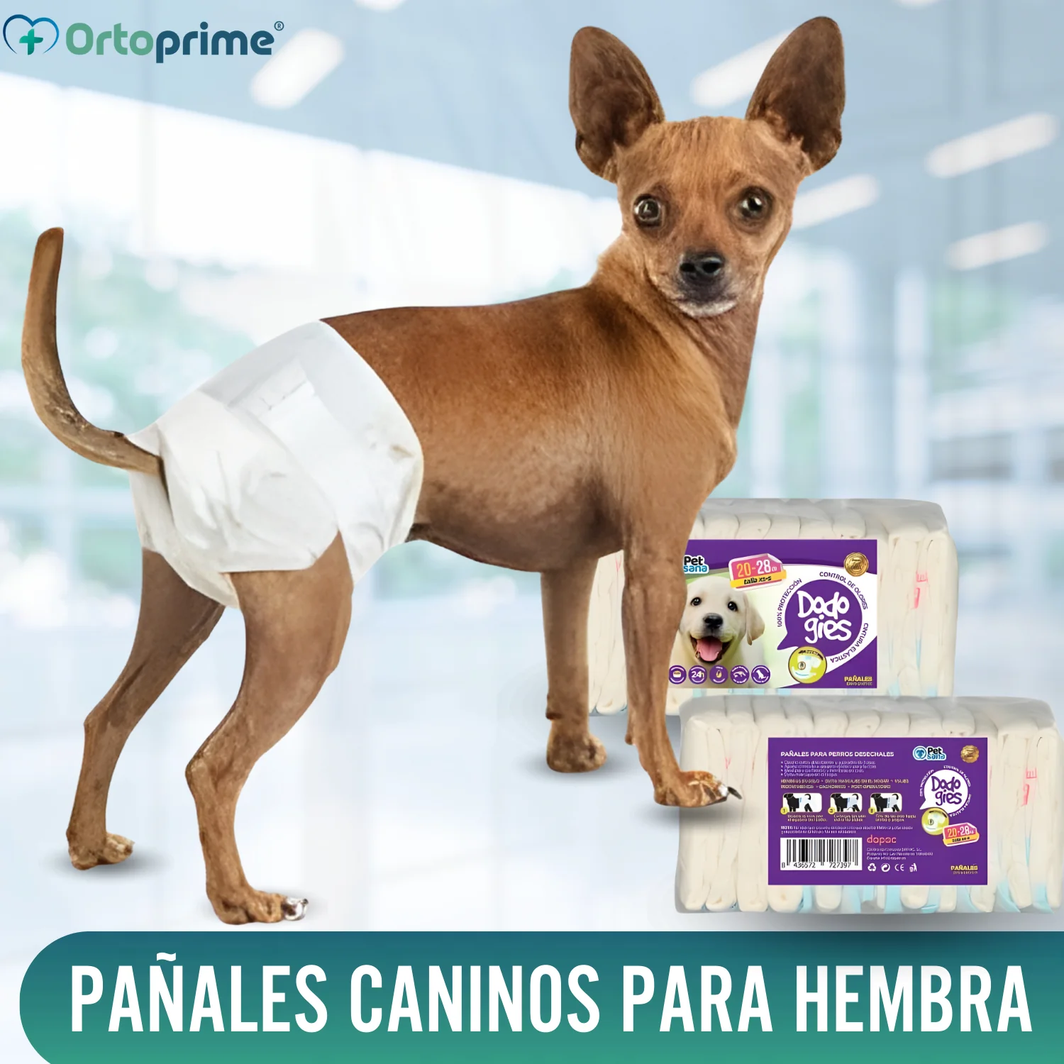 Pañales Caninos para Hembras y Cachorros | Máxima Absorción - Image 4
