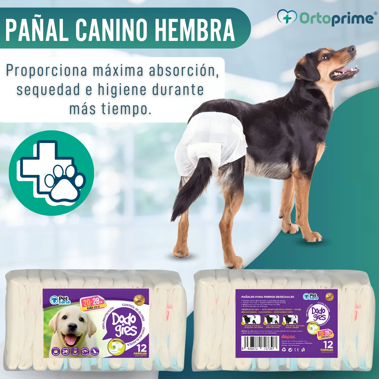 Pañales Caninos para Hembras y Cachorros | Máxima Absorción - Image 5