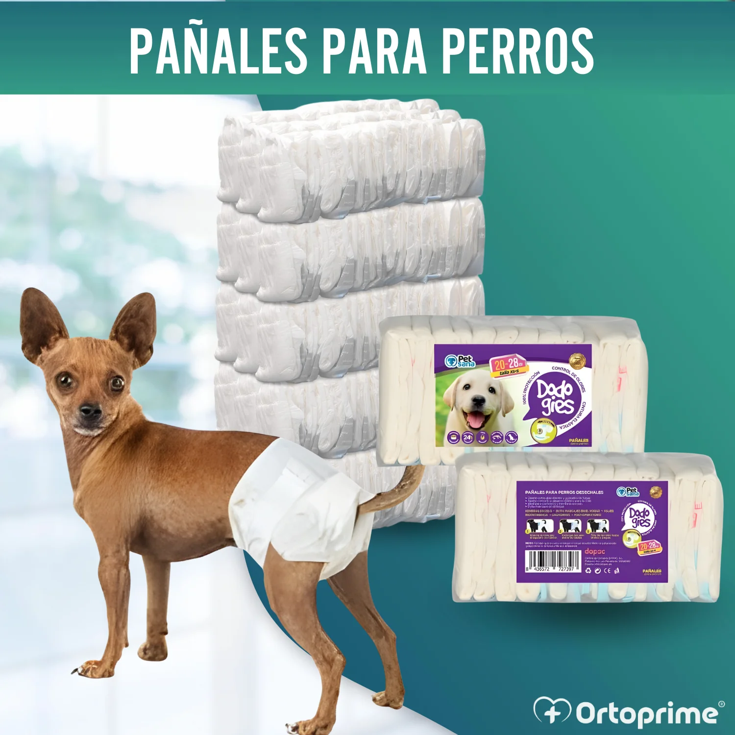 Pañales Caninos para Hembras y Cachorros | Máxima Absorción - Image 6