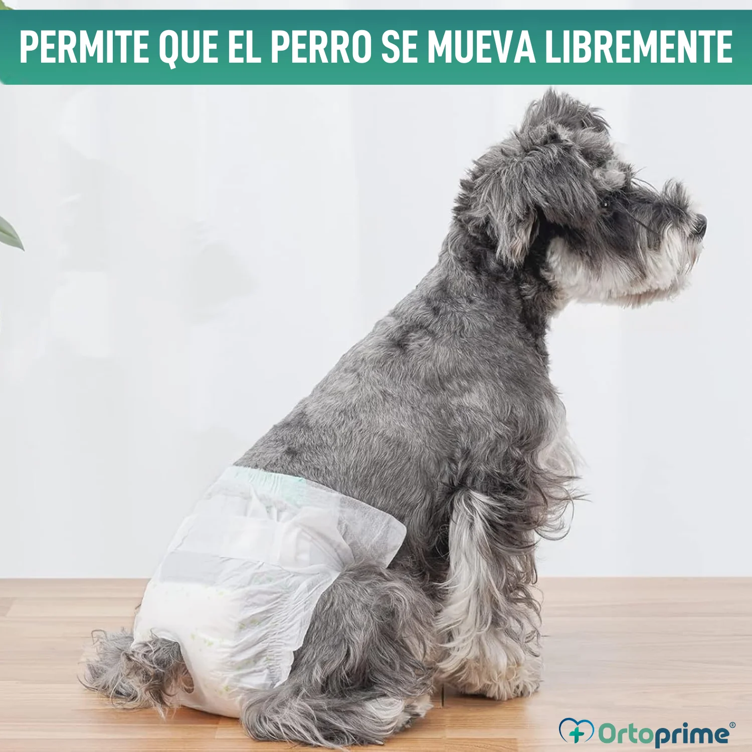 Pañales Caninos para Hembras y Cachorros | Máxima Absorción - Image 7