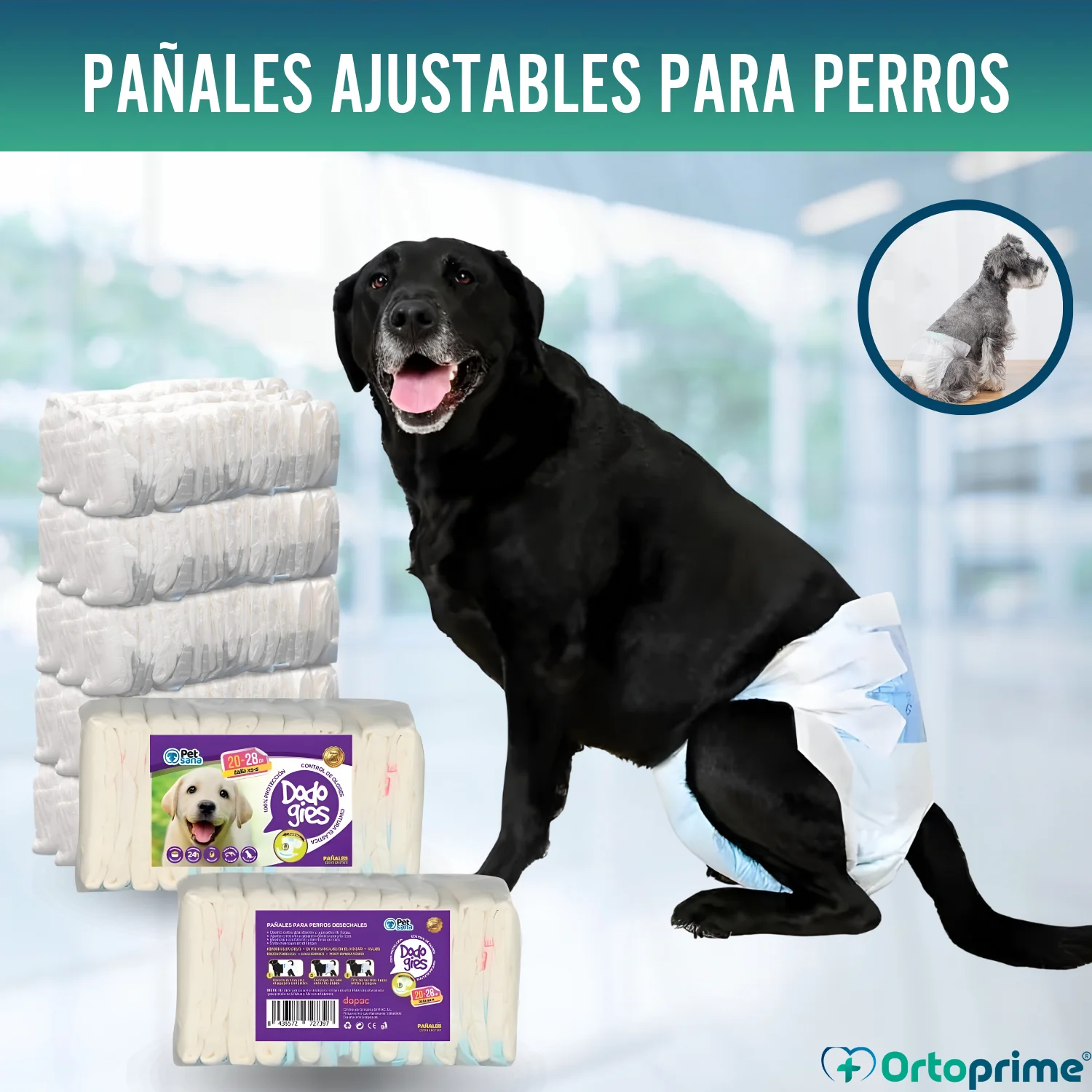 Pañales Caninos para Hembras y Cachorros | Máxima Absorción - Image 8