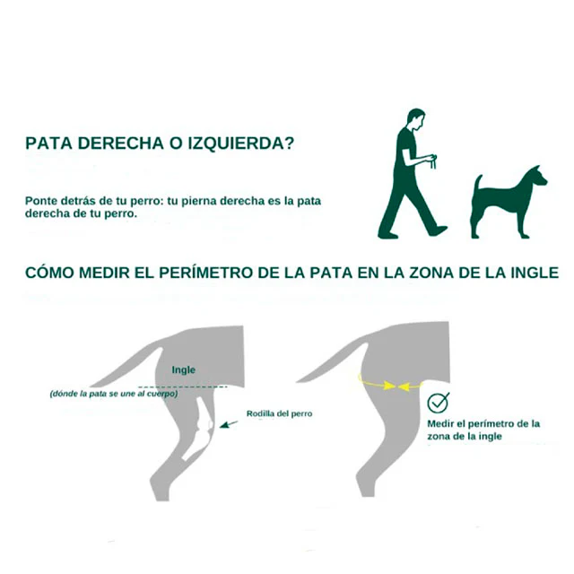 Rodillera Perros con Banda y Velcro Ajustable | Por Tallas - Image 6
